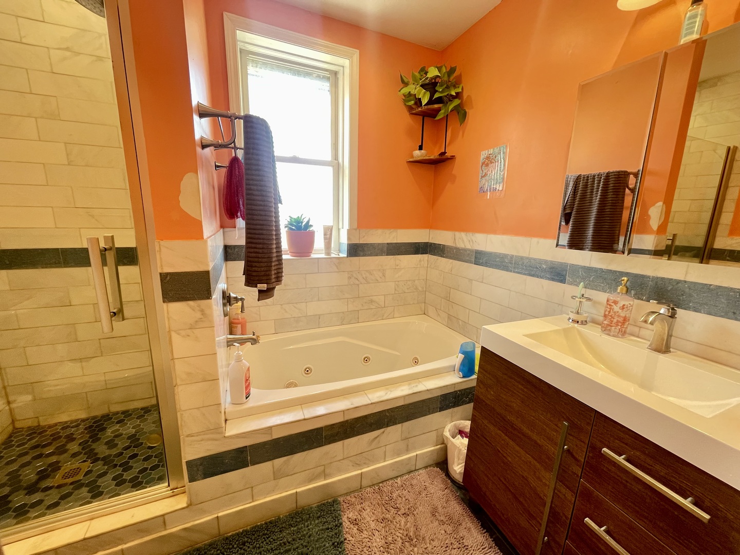 7916 South Constance Avenue Chicago, IL 60617 - Photo 24 of 28 a bathroom with a sink and a mirror