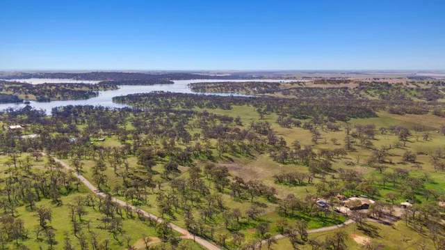 a view of a forest with mountains in the background