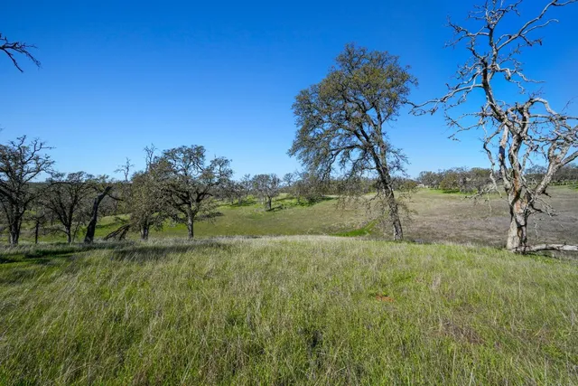 a view of dirt field with trees in the background
