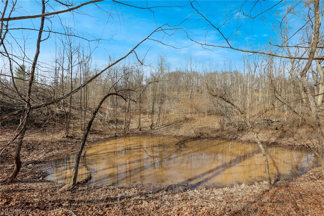 6410 Smith Run Road Glouster, OH 45732 - Photo 40 of 43