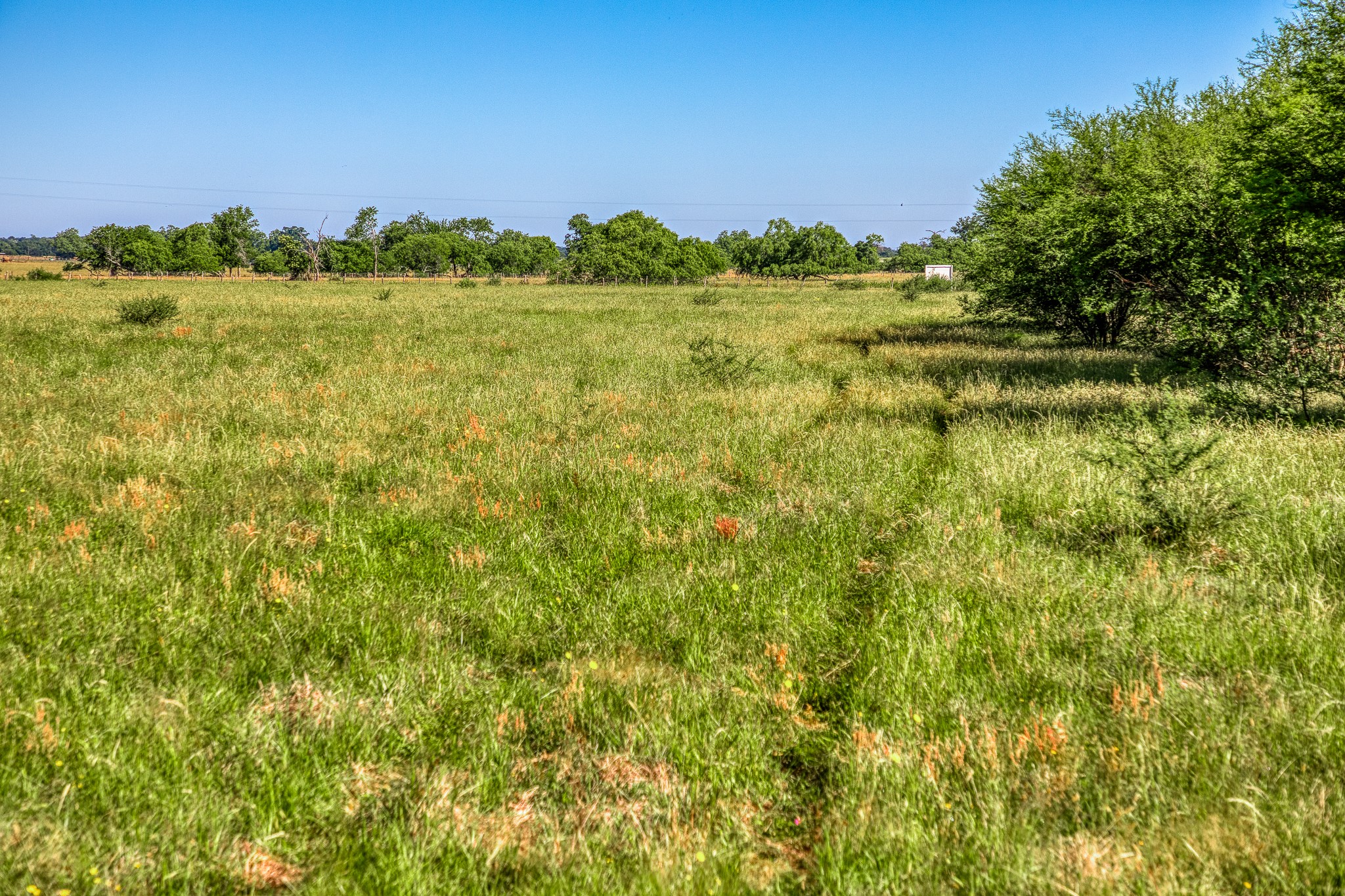 0 Flat Prairie Road Washington, TX 77880 - Photo 17 of 19