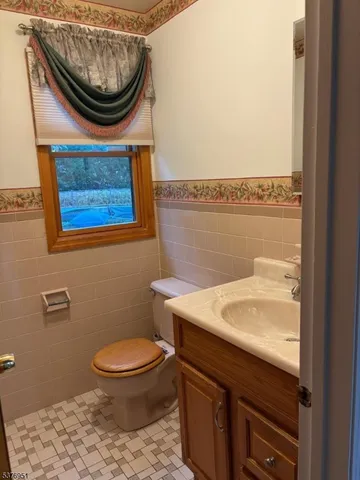 a bathroom with a toilet a sink and vanity