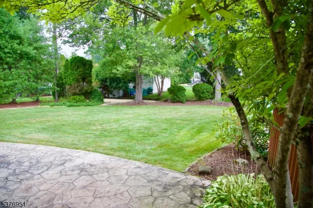 a view of a trees in a yard with large trees