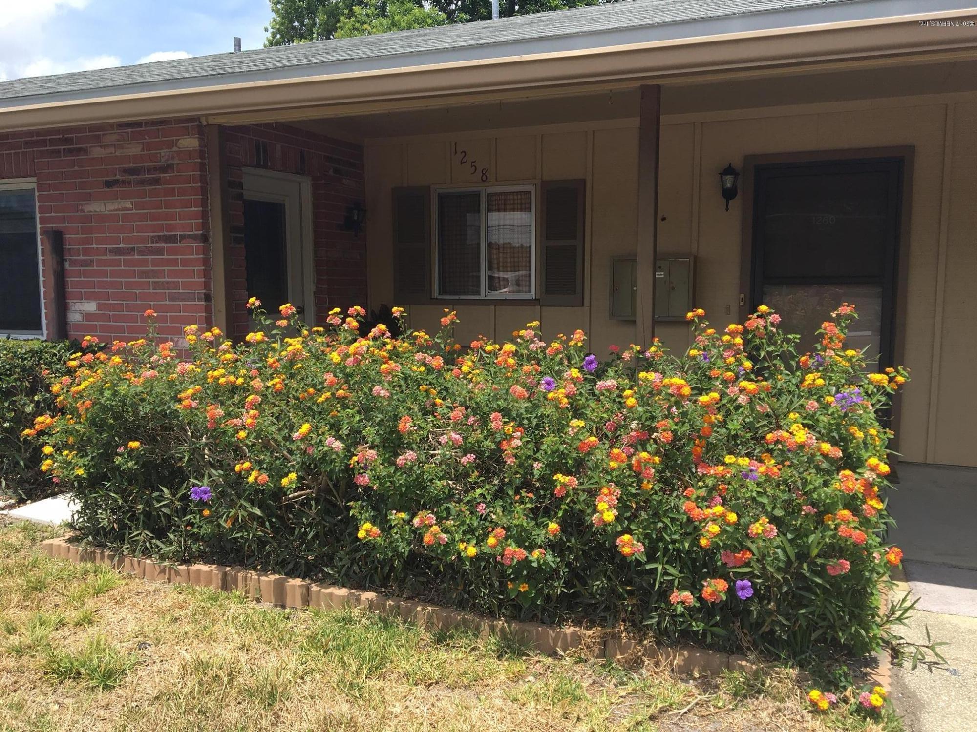 1258 The Grove Road Orange Park, FL 32073 - Photo 2 of 16 Front Landscaping 1