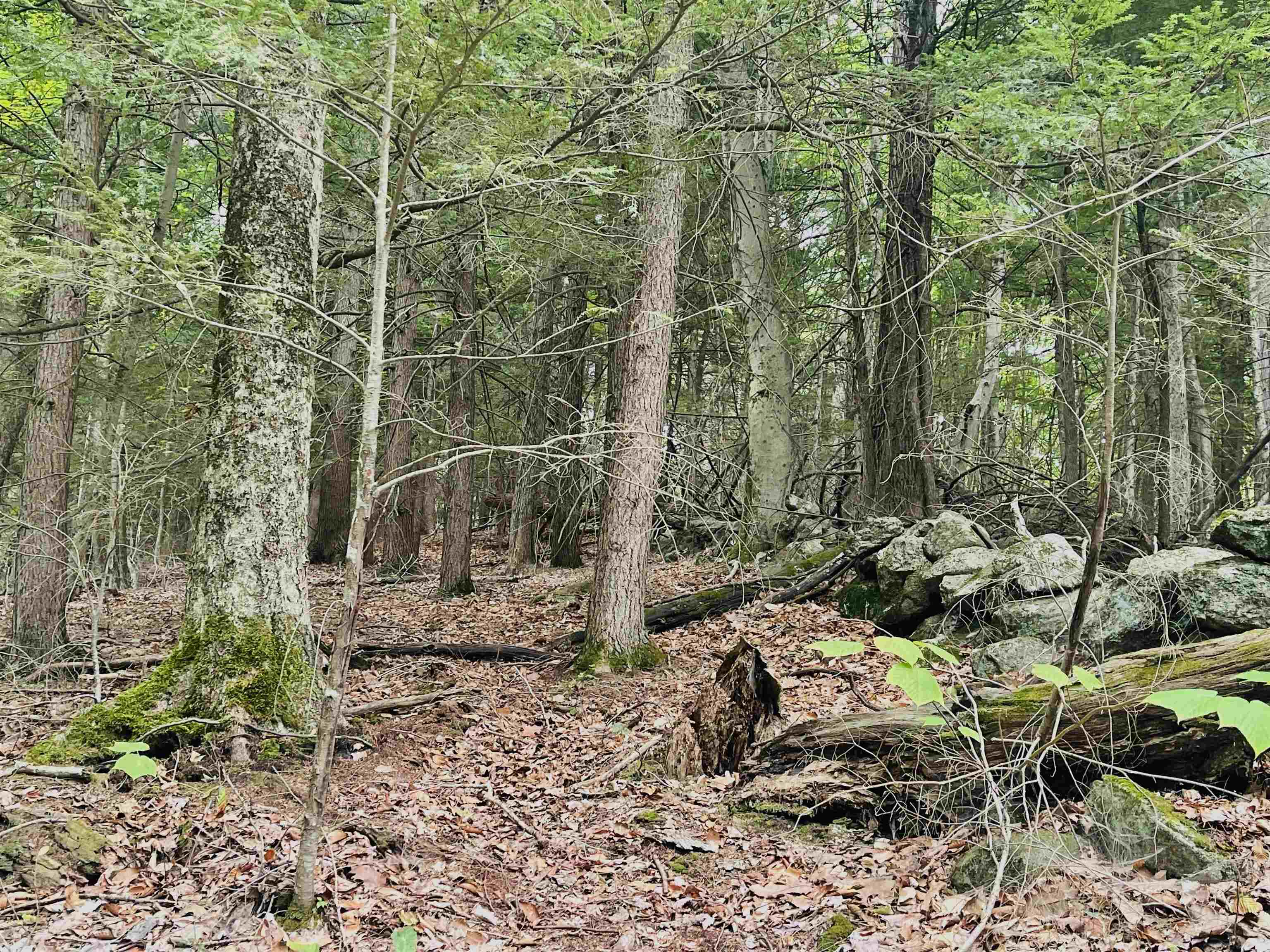 Lot 11 True Road, Unit R23LOT 11 Pittsfield, NH 03263 - Photo 7 of 10