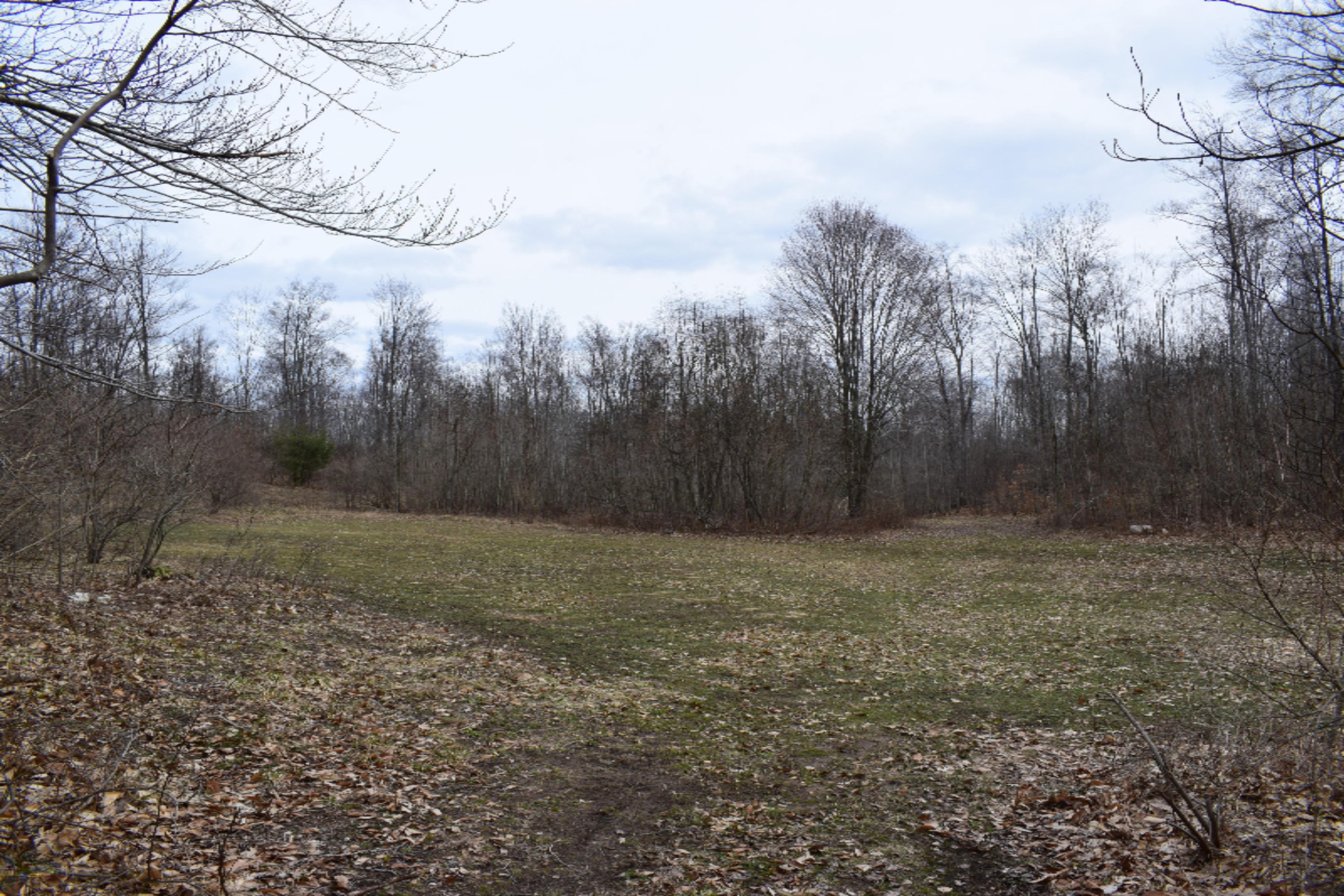 5687 Scott Road Manistee, MI 49660 - Photo 12 of 26 DSC_0032