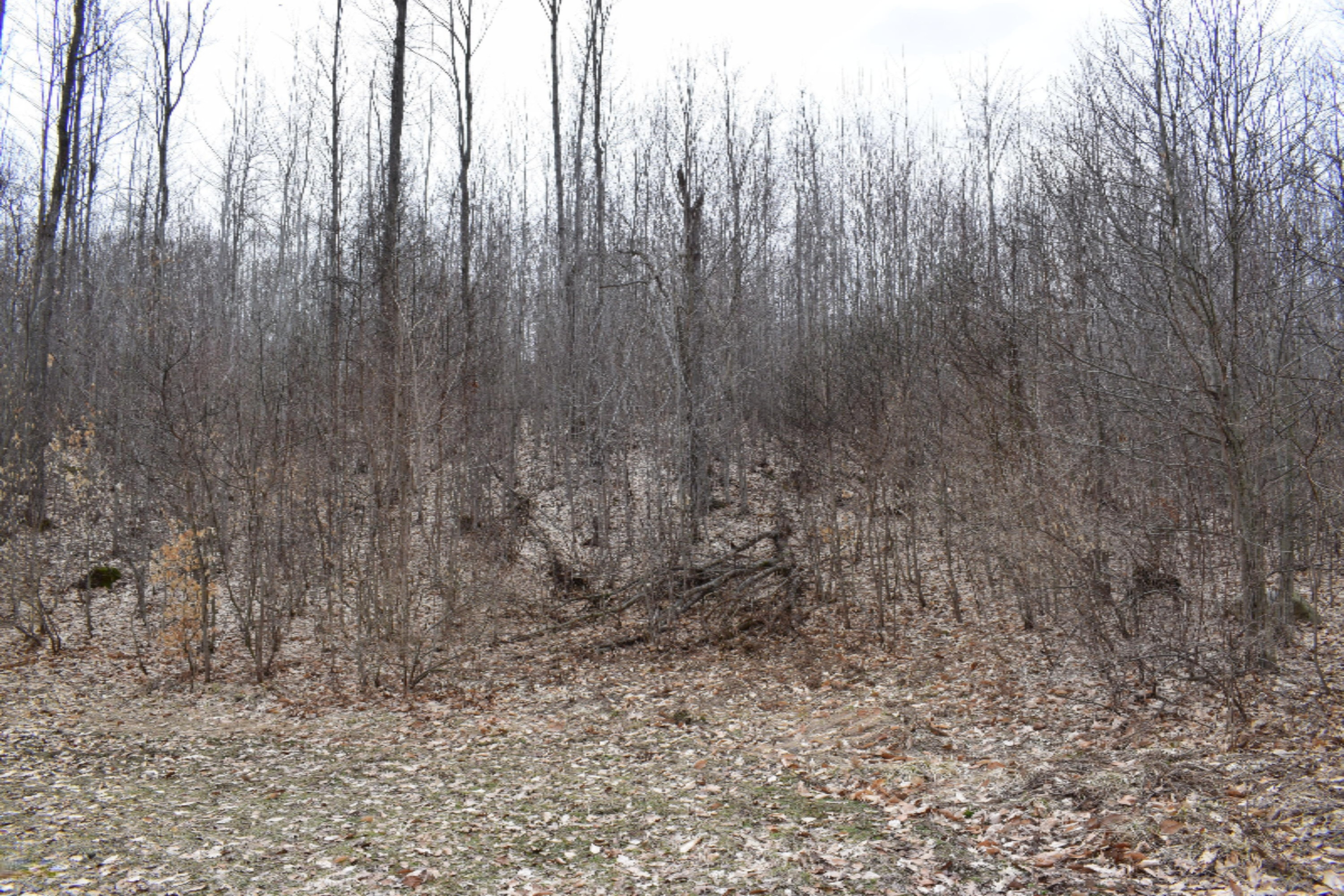 5687 Scott Road Manistee, MI 49660 - Photo 14 of 26 DSC_0033