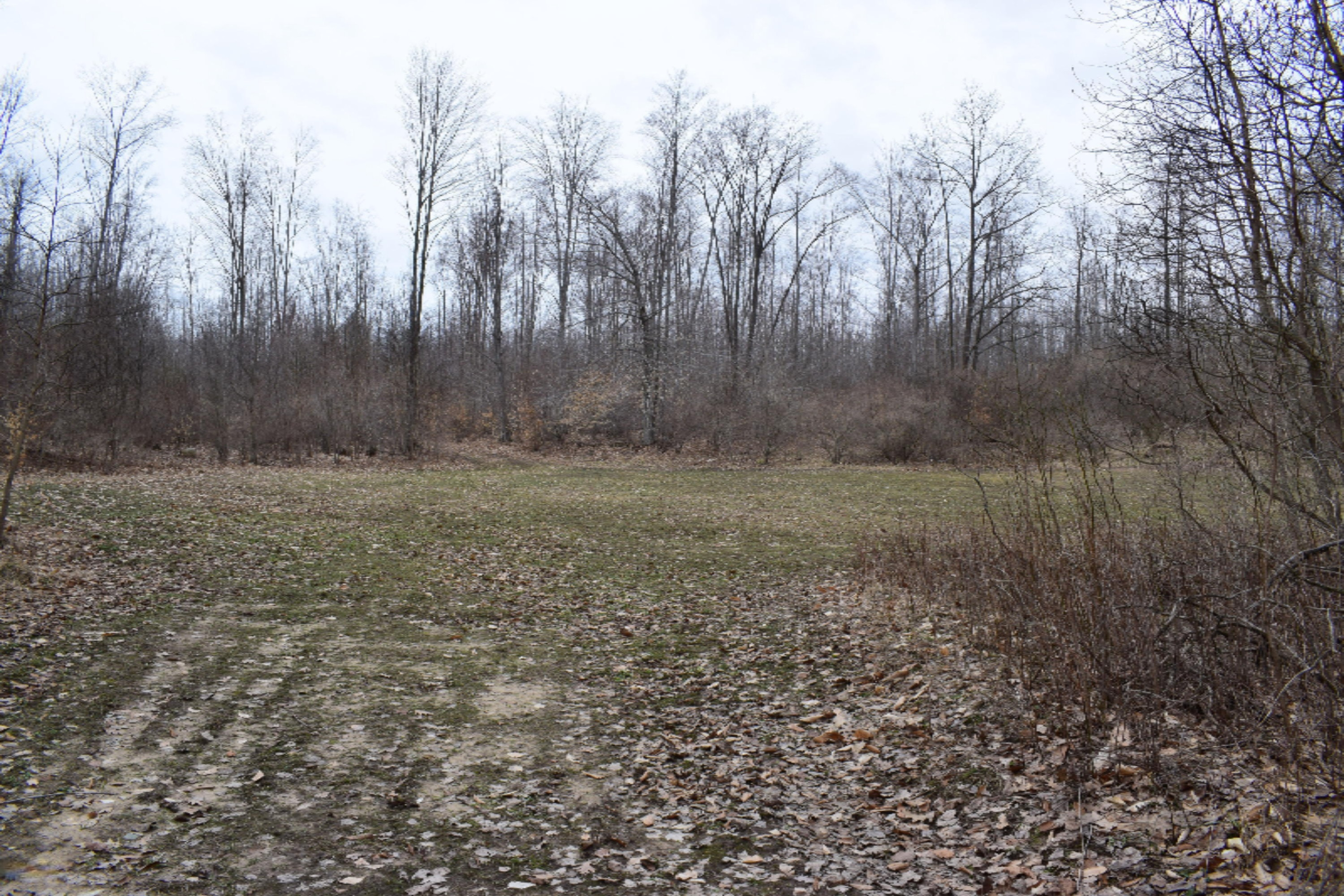 5687 Scott Road Manistee, MI 49660 - Photo 15 of 26 DSC_0034