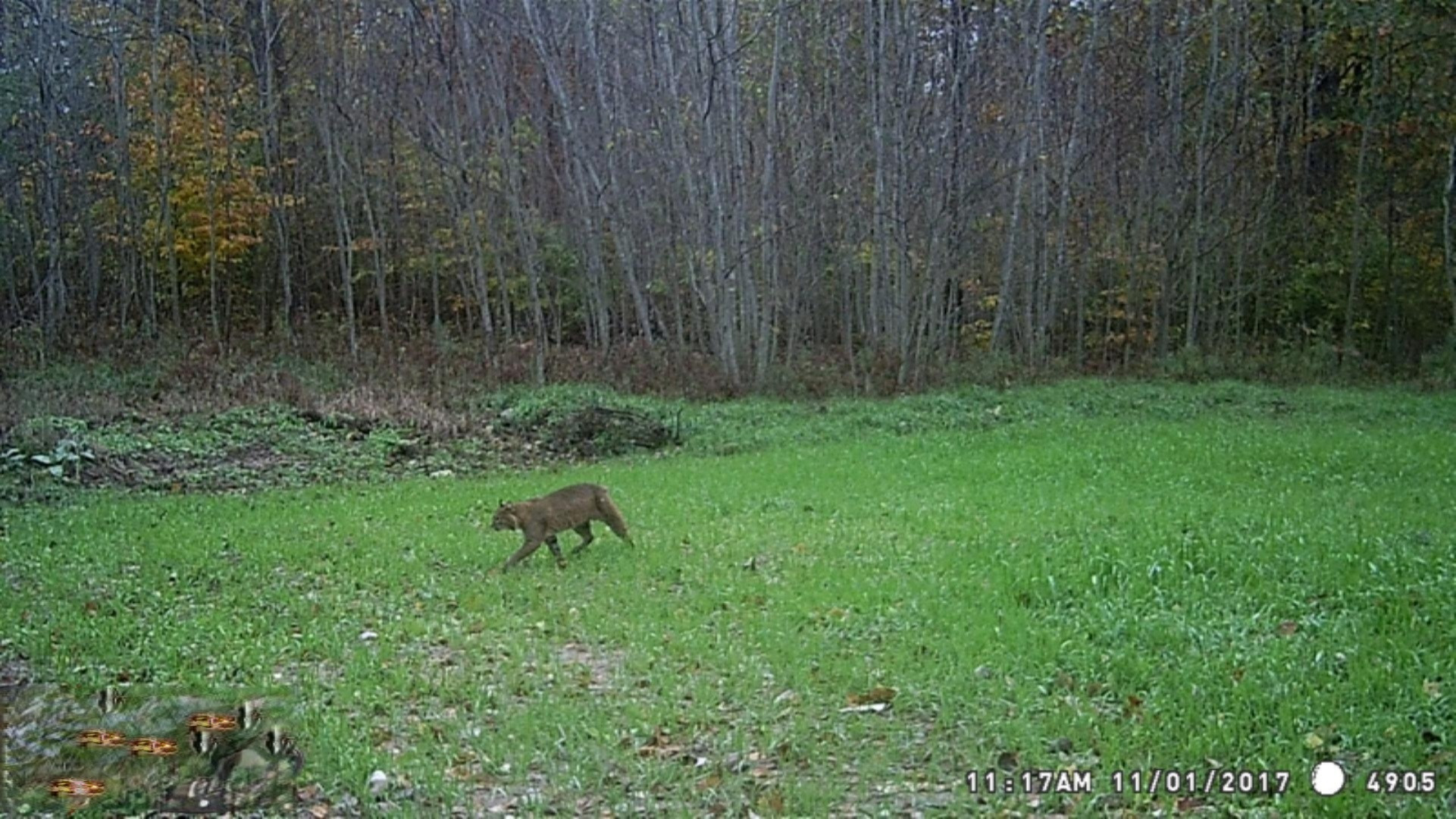 5687 Scott Road Manistee, MI 49660 - Photo 26 of 26 95453