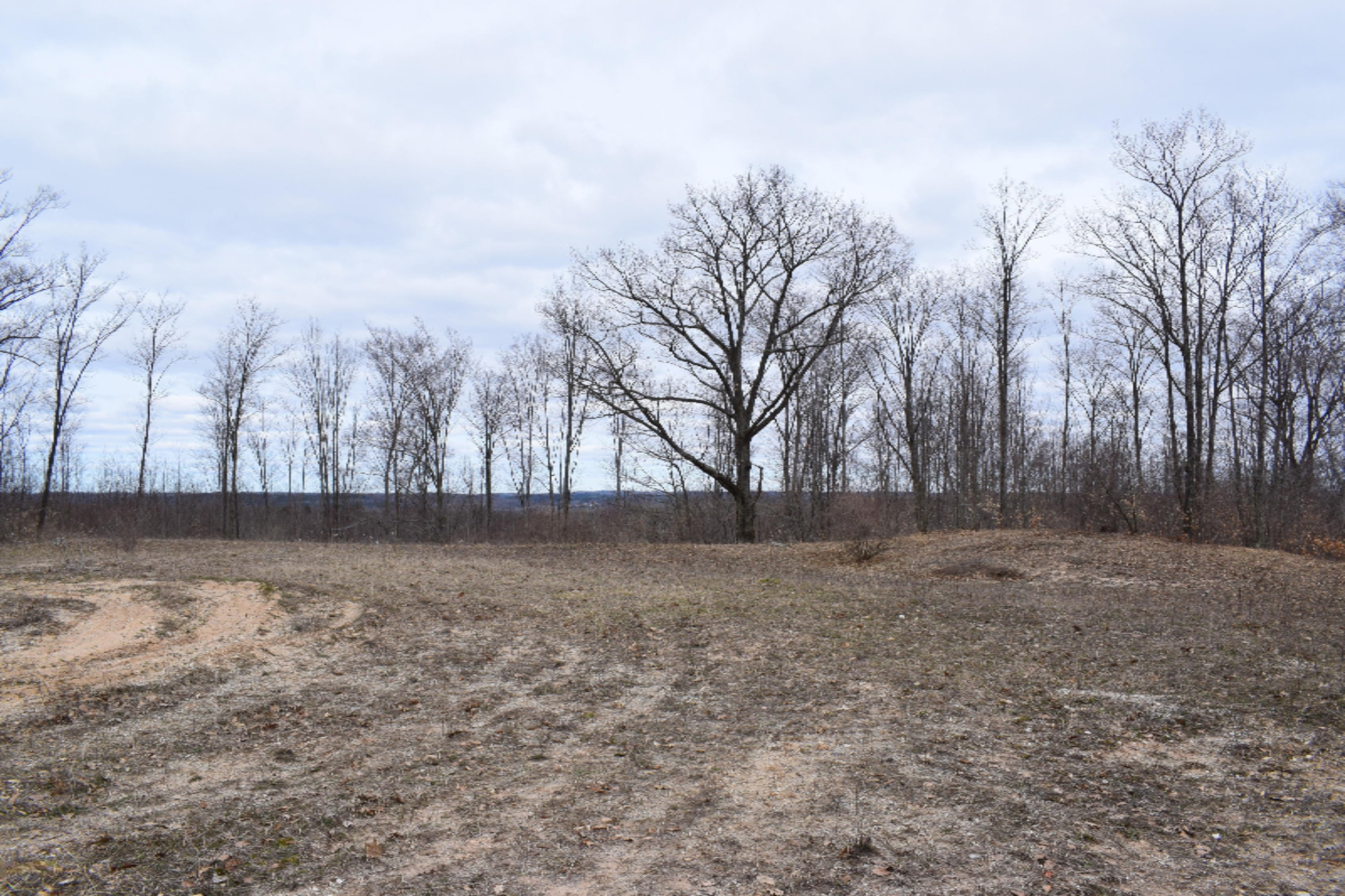 5687 Scott Road Manistee, MI 49660 - Photo 3 of 26 DSC_0022