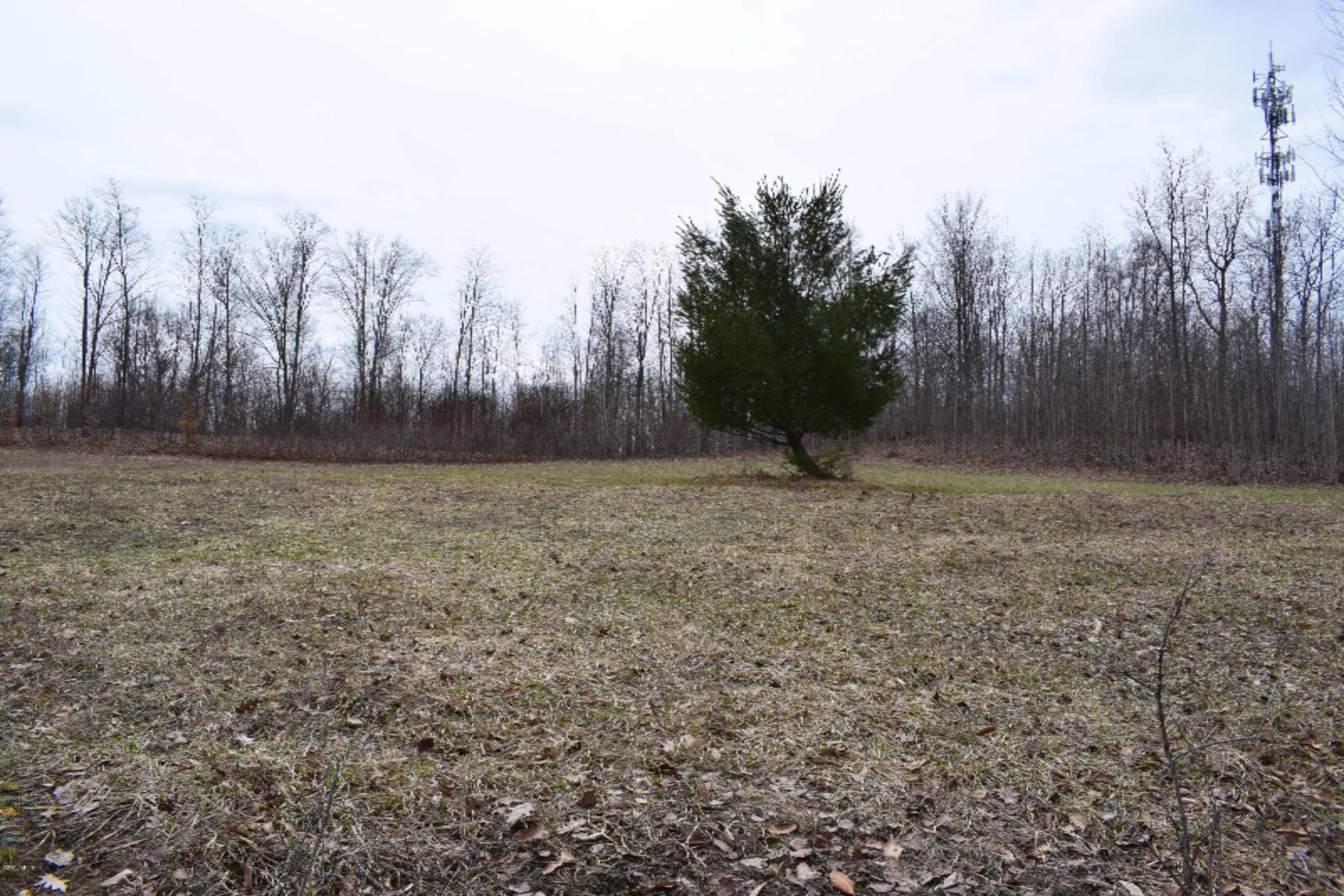 5687 Scott Road Manistee, MI 49660 - Photo 9 of 26 DSC_0028