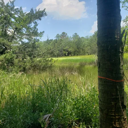 $165,000 | 723 Jan Savage Way, Unit LOT (A), Edisto Island, SC 29438