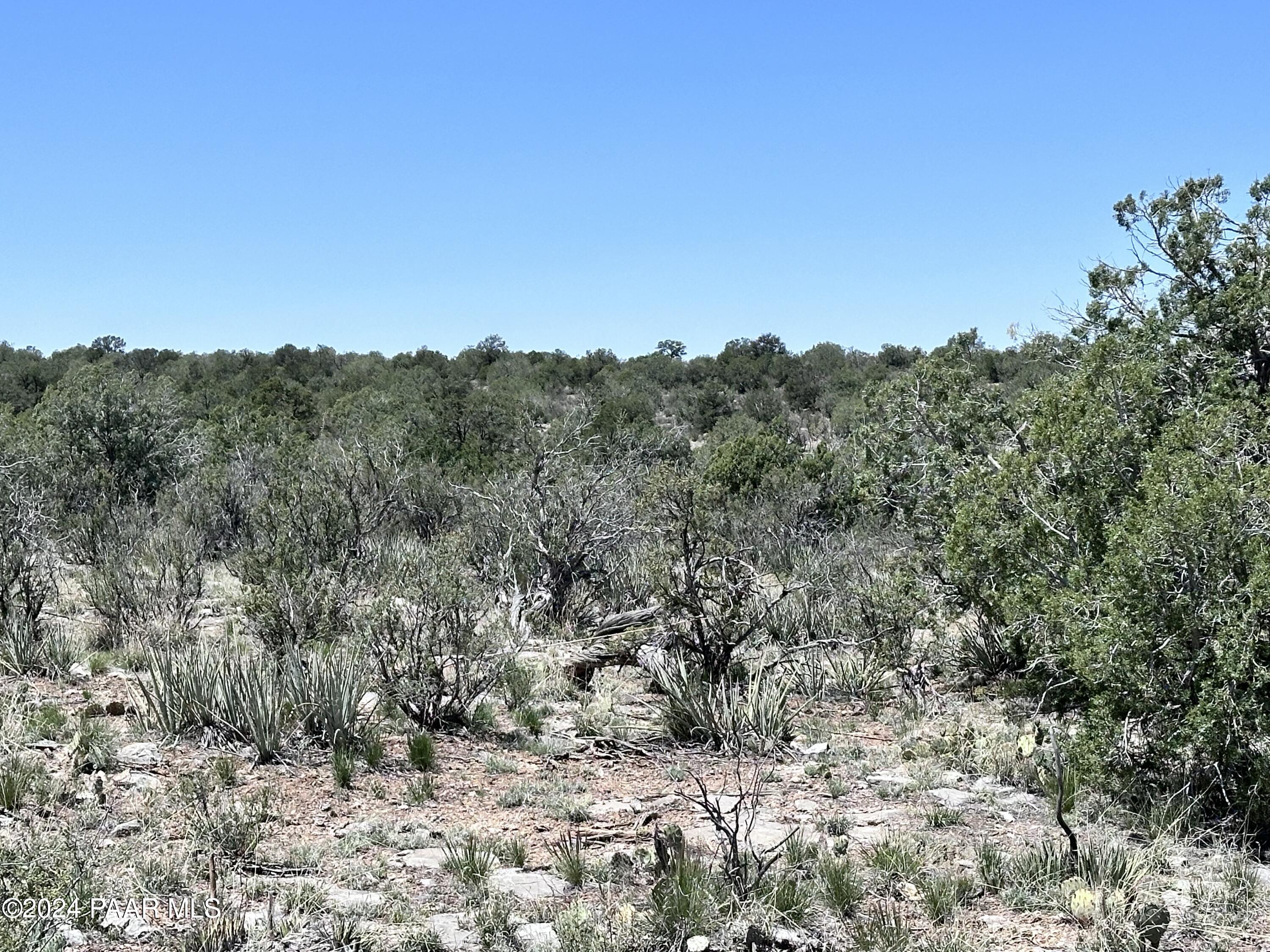 K North Peaceful Hill Road Seligman, AZ 86337 - Photo 12 of 18 a view of a dry yard with trees in the background