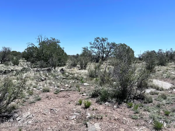 a view of a dry field