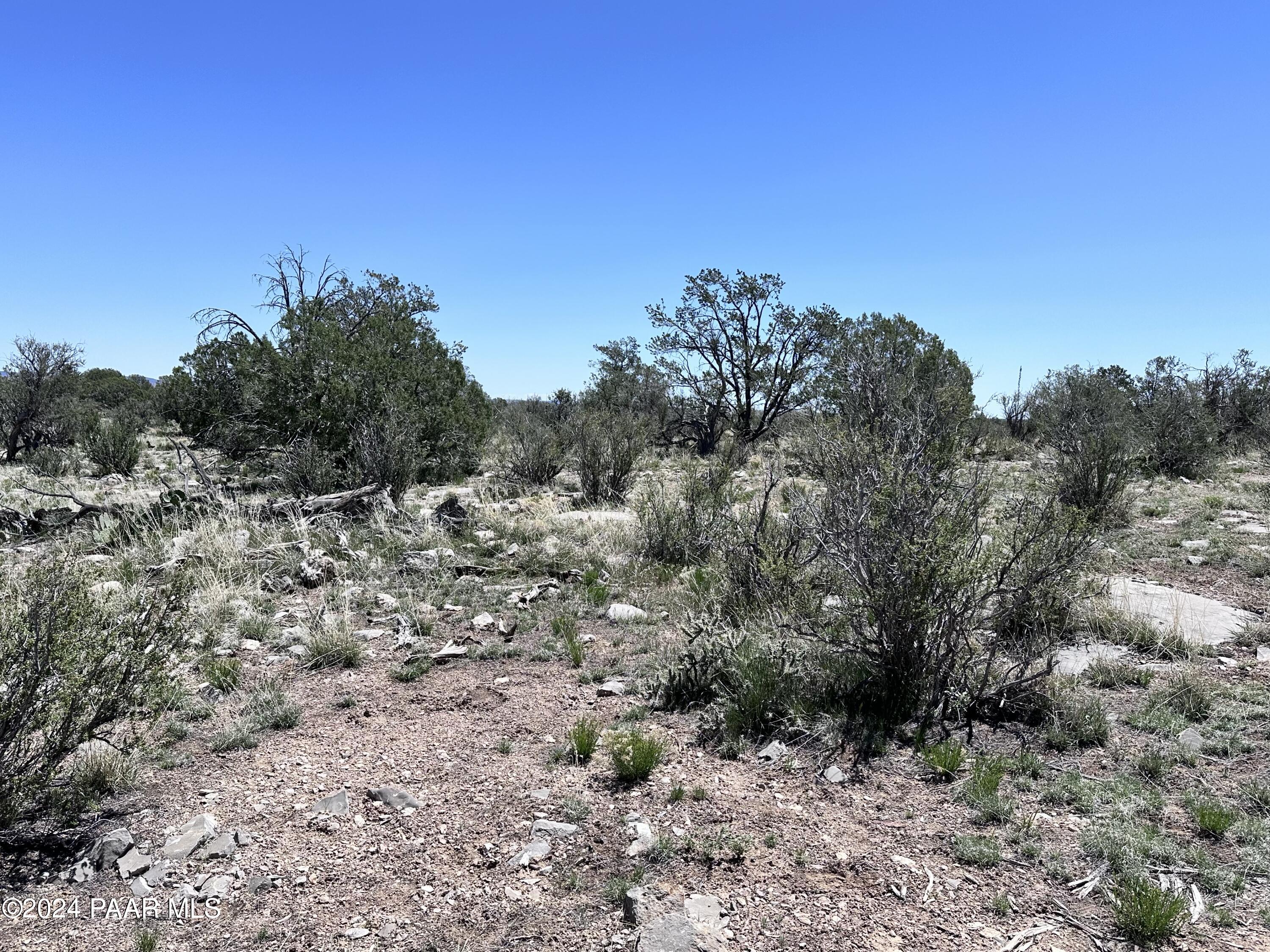 K North Peaceful Hill Road Seligman, AZ 86337 - Photo 15 of 18 a view of a dry field