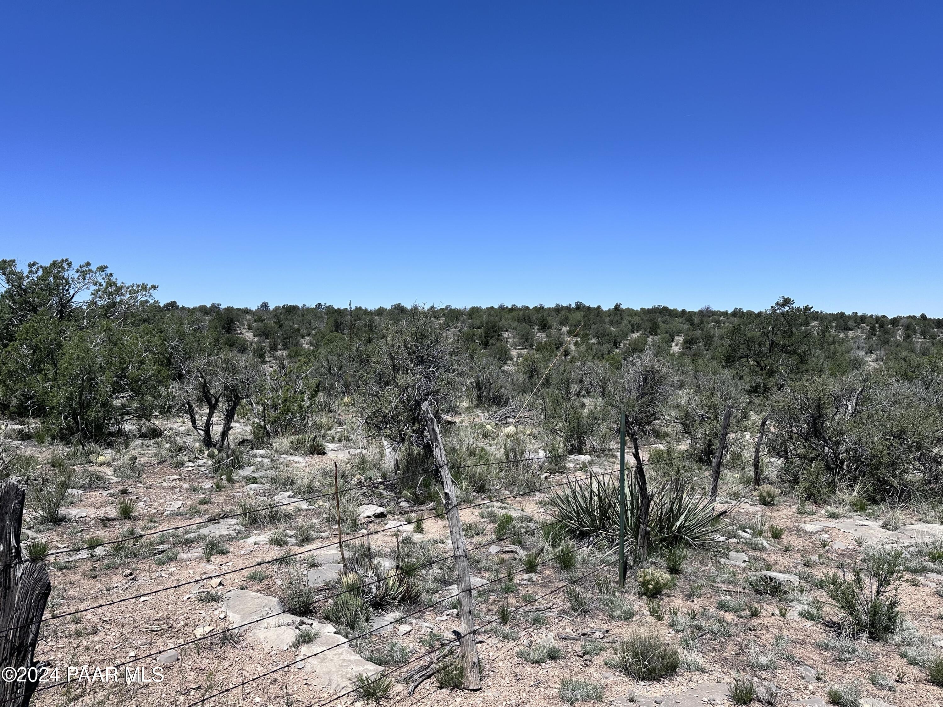 K North Peaceful Hill Road Seligman, AZ 86337 - Photo 16 of 18 a view of a dry yard with trees in the background