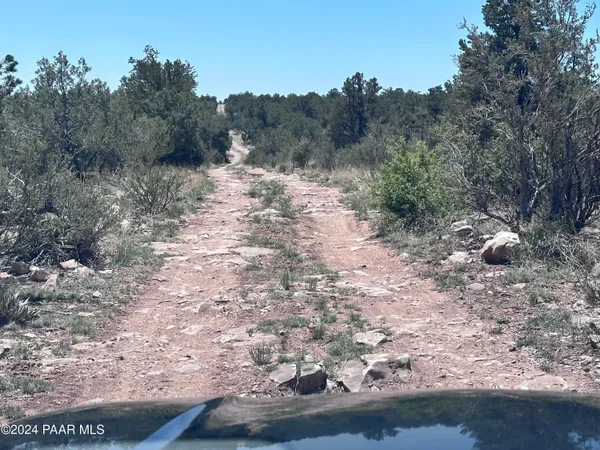 a view of a yard with a tree