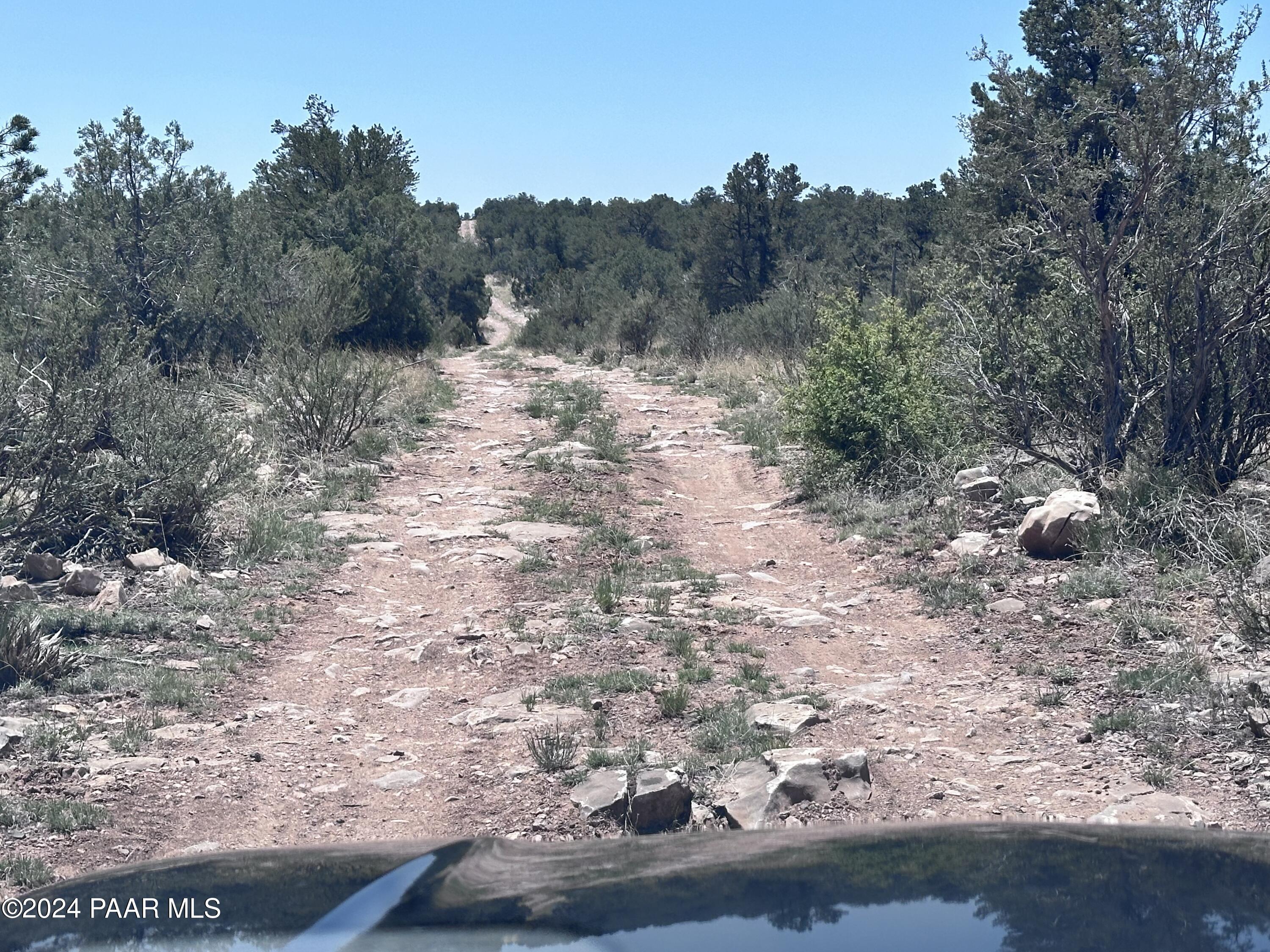 K North Peaceful Hill Road Seligman, AZ 86337 - Photo 17 of 18 a view of a yard with a tree