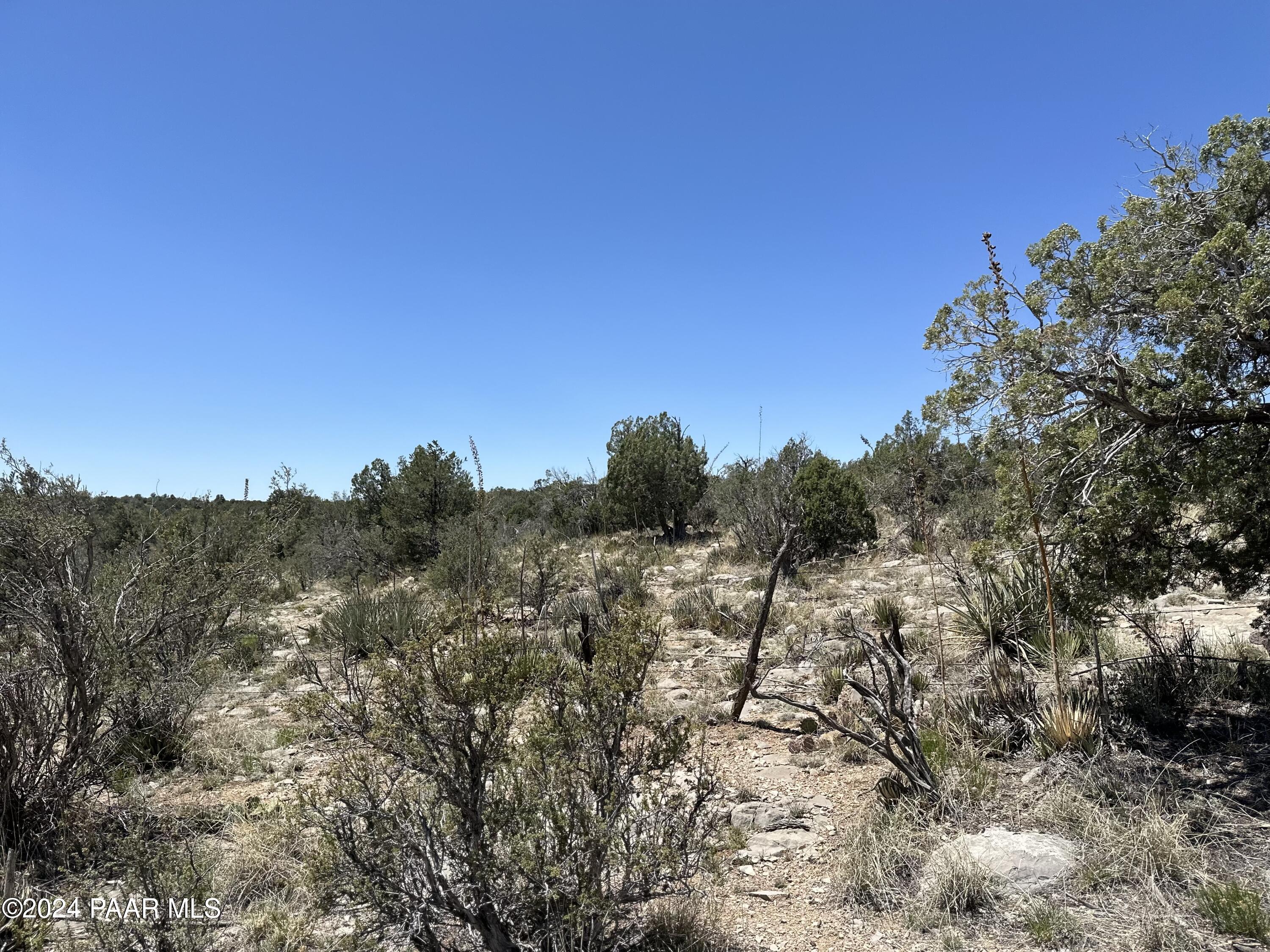 K North Peaceful Hill Road Seligman, AZ 86337 - Photo 3 of 18 a view of a forest with trees in the background