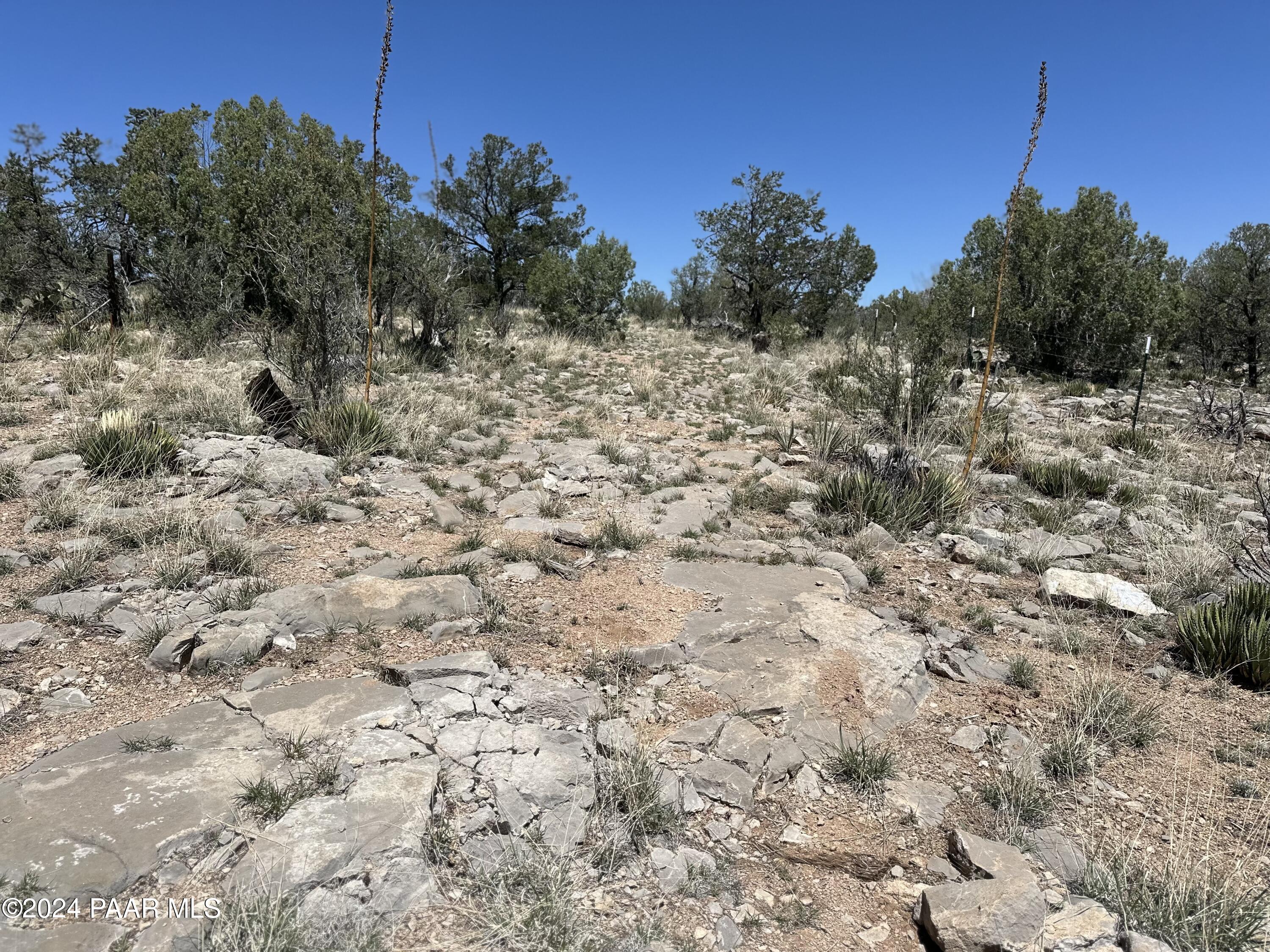 K North Peaceful Hill Road Seligman, AZ 86337 - Photo 4 of 18 a view of a dry yard with trees and bushes