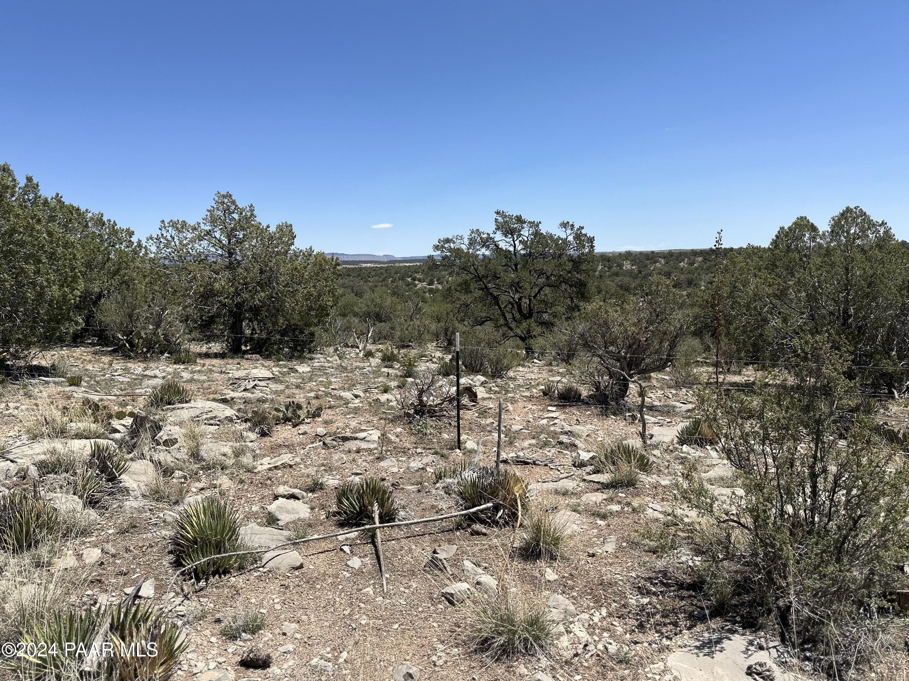 K North Peaceful Hill Road Seligman, AZ 86337 - Photo 5 of 18 a view of a large yard with a tree