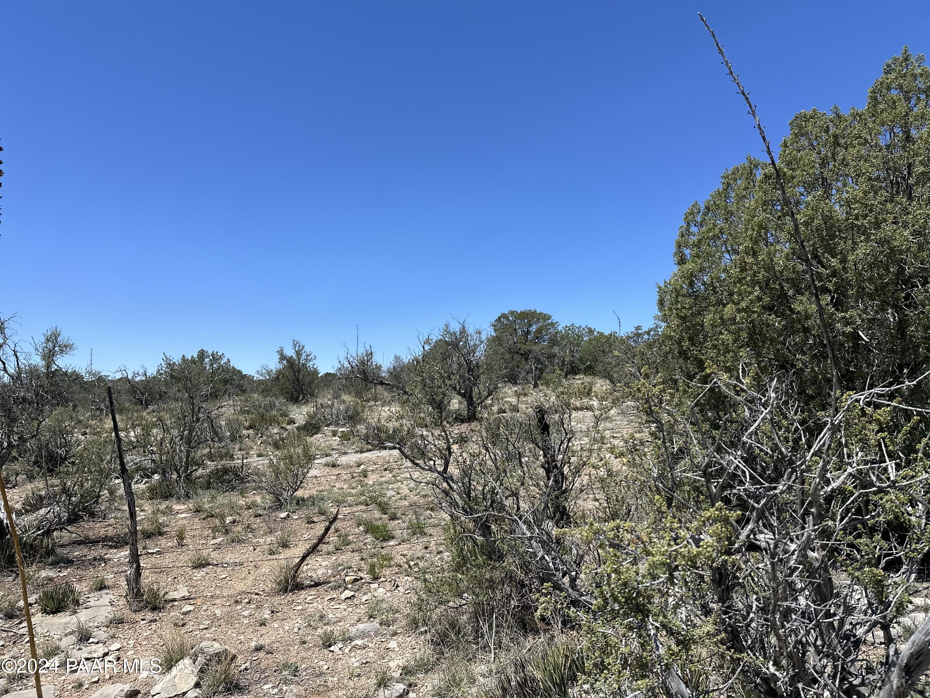 K North Peaceful Hill Road Seligman, AZ 86337 - Photo 6 of 18 a view of a dry yard with trees in the background