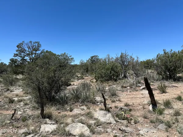 a view of a dry yard with trees in the background