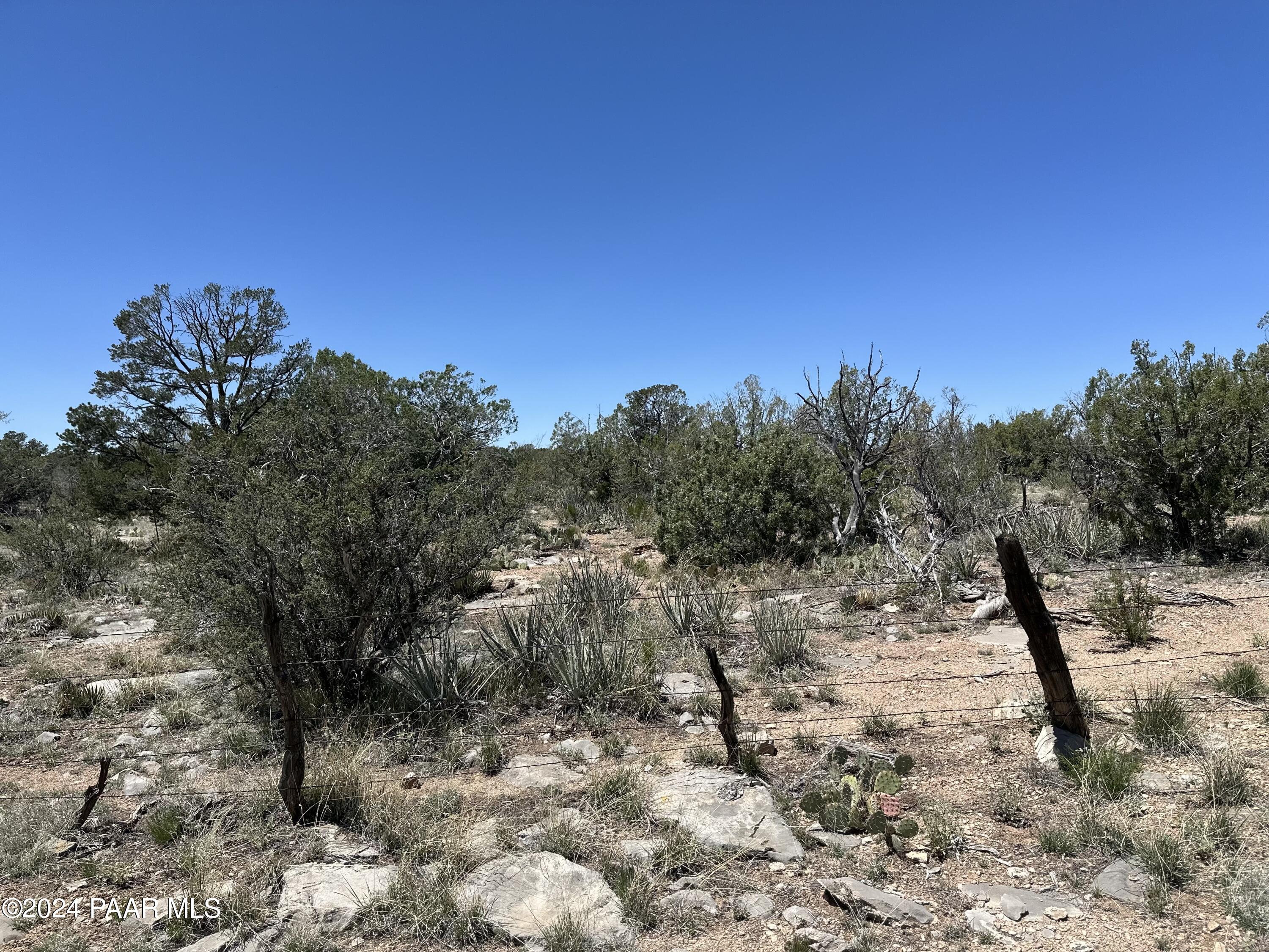 K North Peaceful Hill Road Seligman, AZ 86337 - Photo 7 of 18 a view of a dry yard with trees in the background