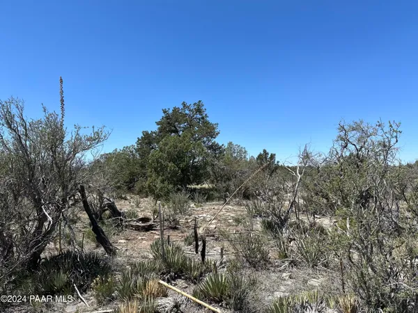 a view of a field with trees in the background