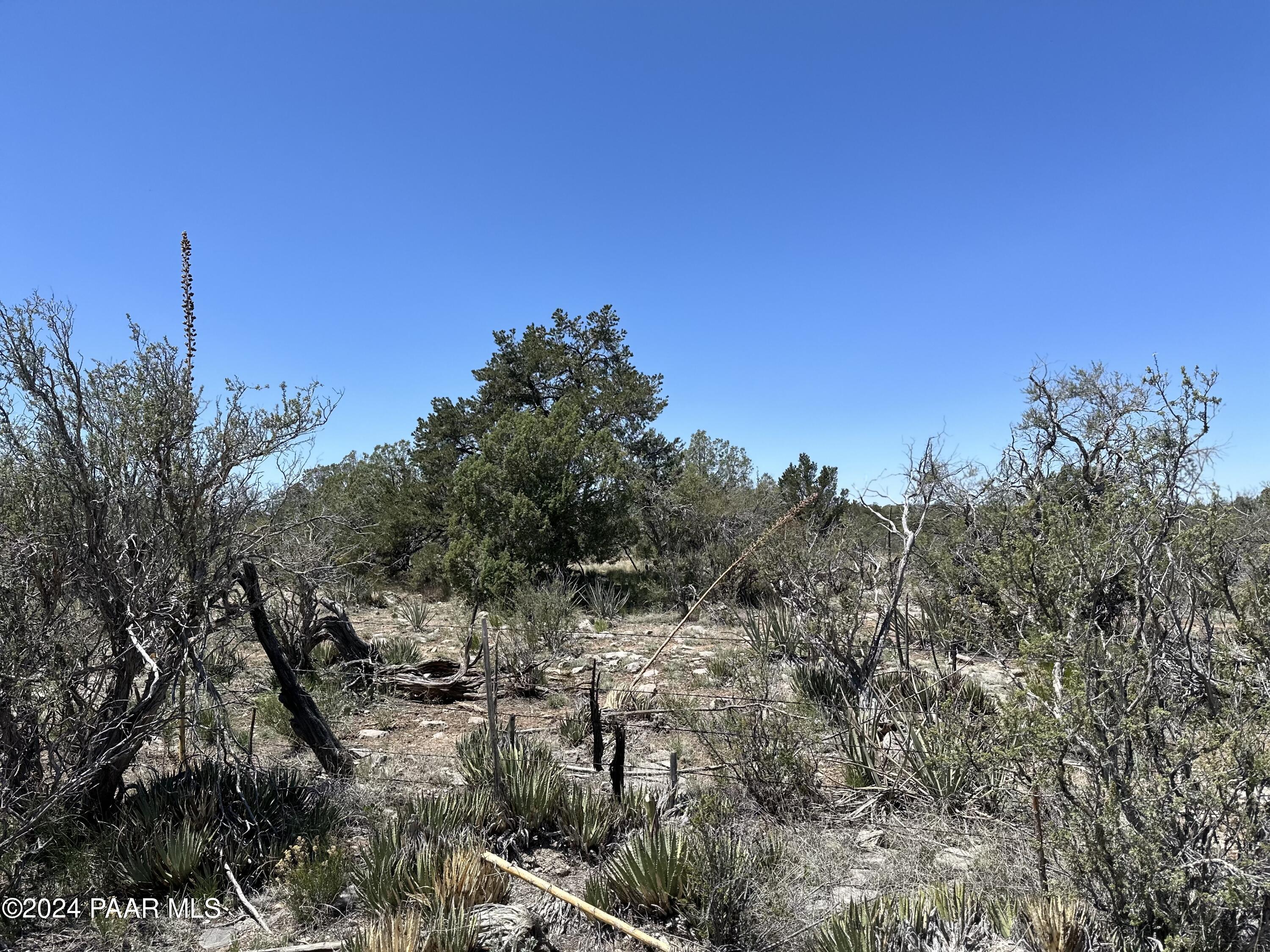 K North Peaceful Hill Road Seligman, AZ 86337 - Photo 8 of 18 a view of a field with trees in the background