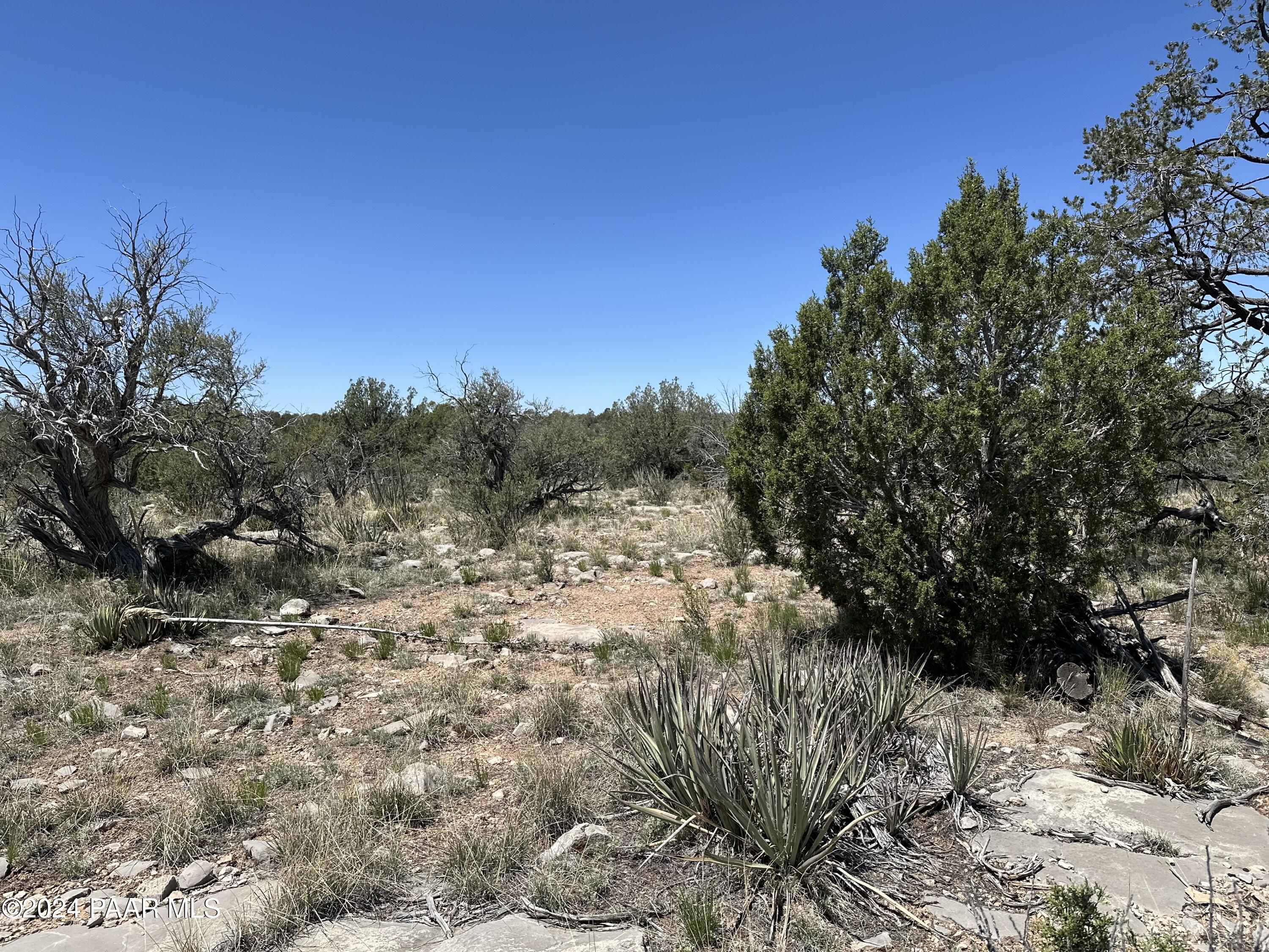 K North Peaceful Hill Road Seligman, AZ 86337 - Photo 9 of 18 a view of a yard with a tree