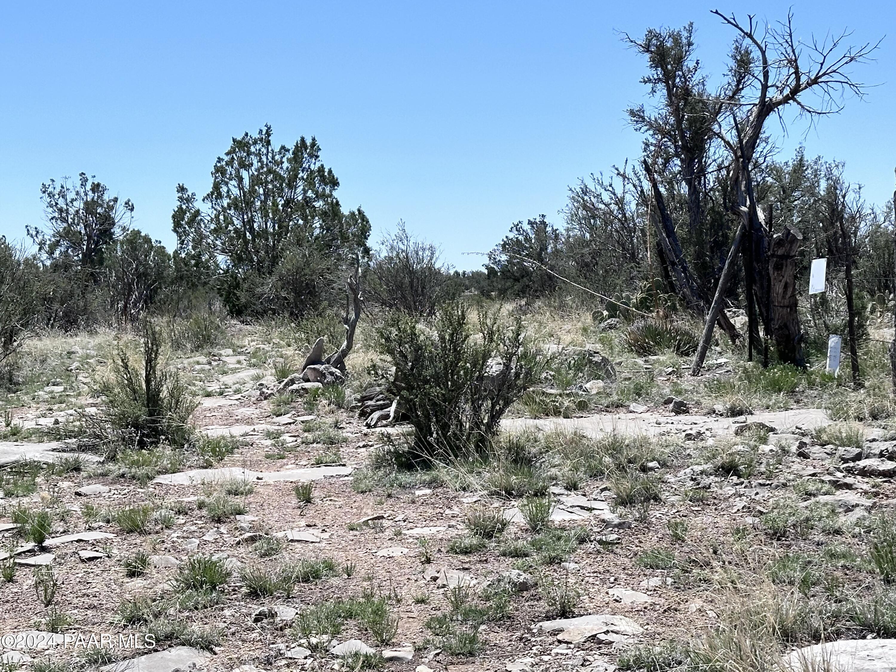 K North Peaceful Hill Road Seligman, AZ 86337 - Photo 10 of 18 a view of a forest with trees