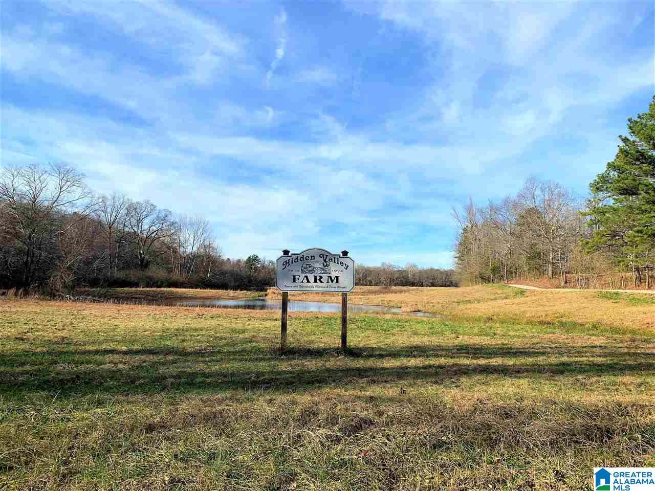 1141 County Road 482 Heflin, AL 36264 - Photo 4 of 44