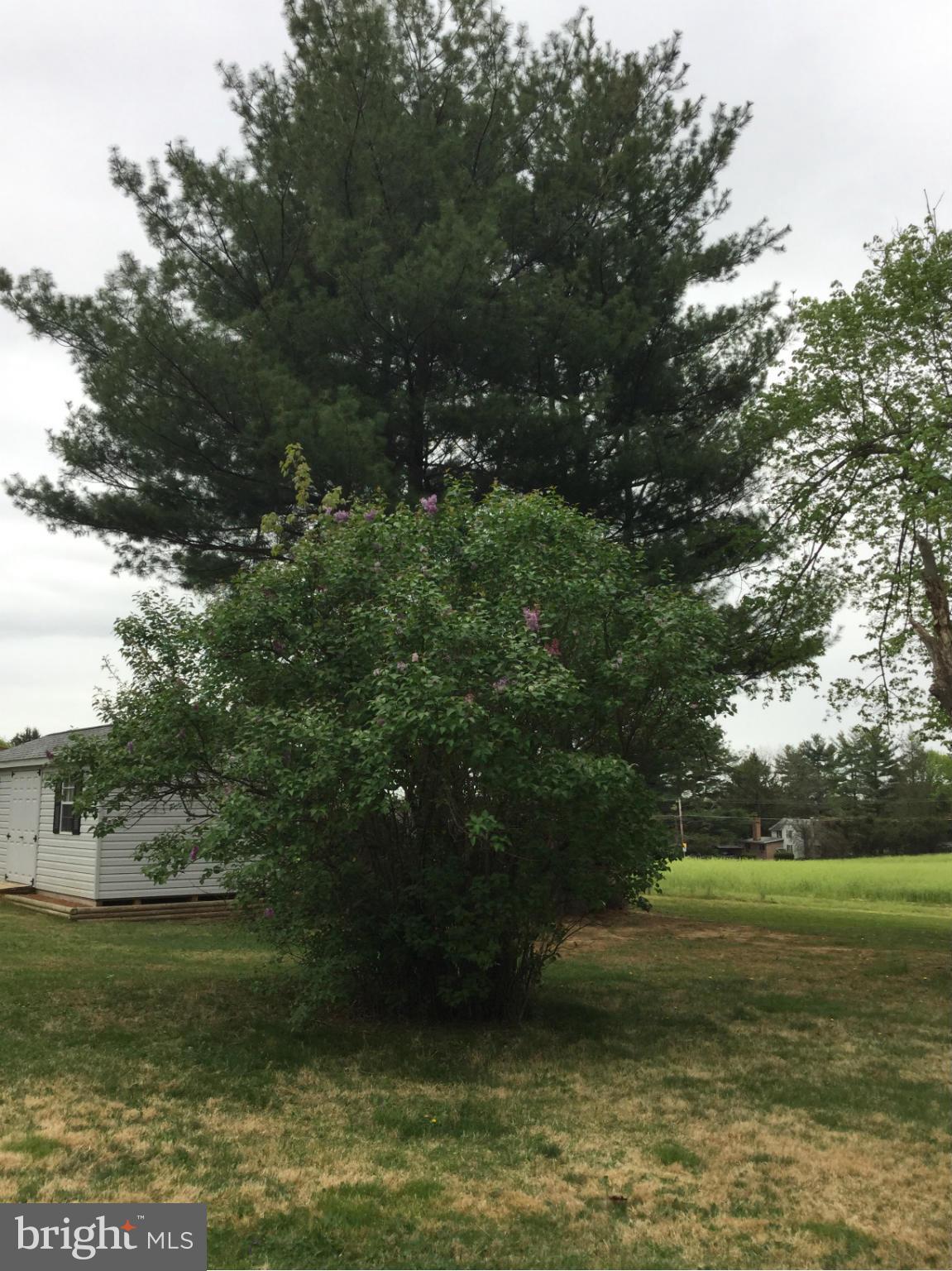 3457 Ebenezer Road Fallston, MD 21047 - Photo 22 of 24 a view of a green field