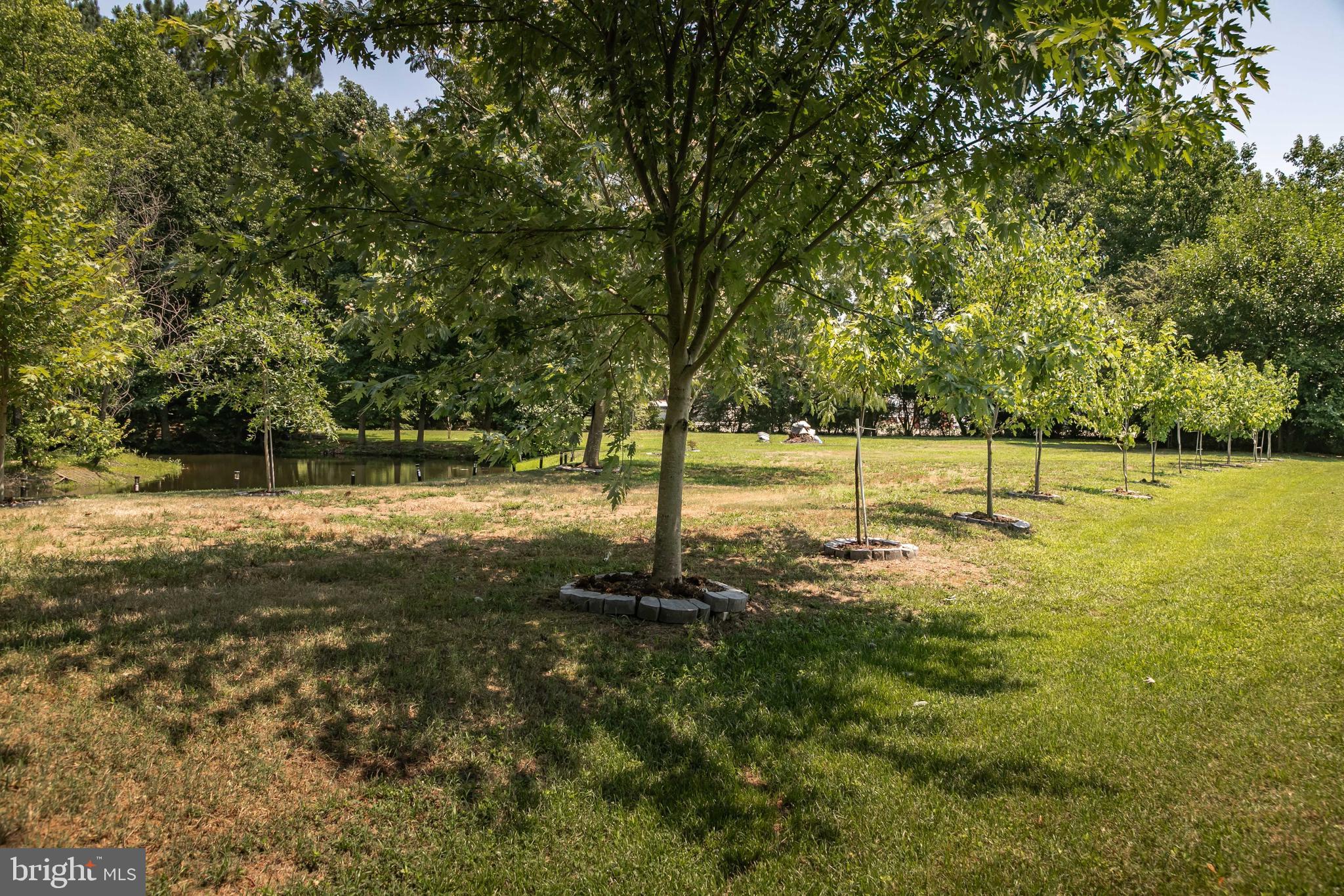7495 Walston Switch Road Parsonsburg, MD 21849 - Photo 54 of 69 Gallery Image 54