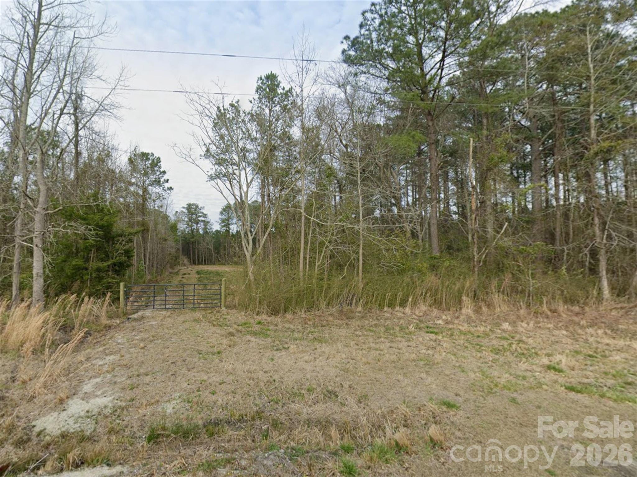 a view of lake with a green space