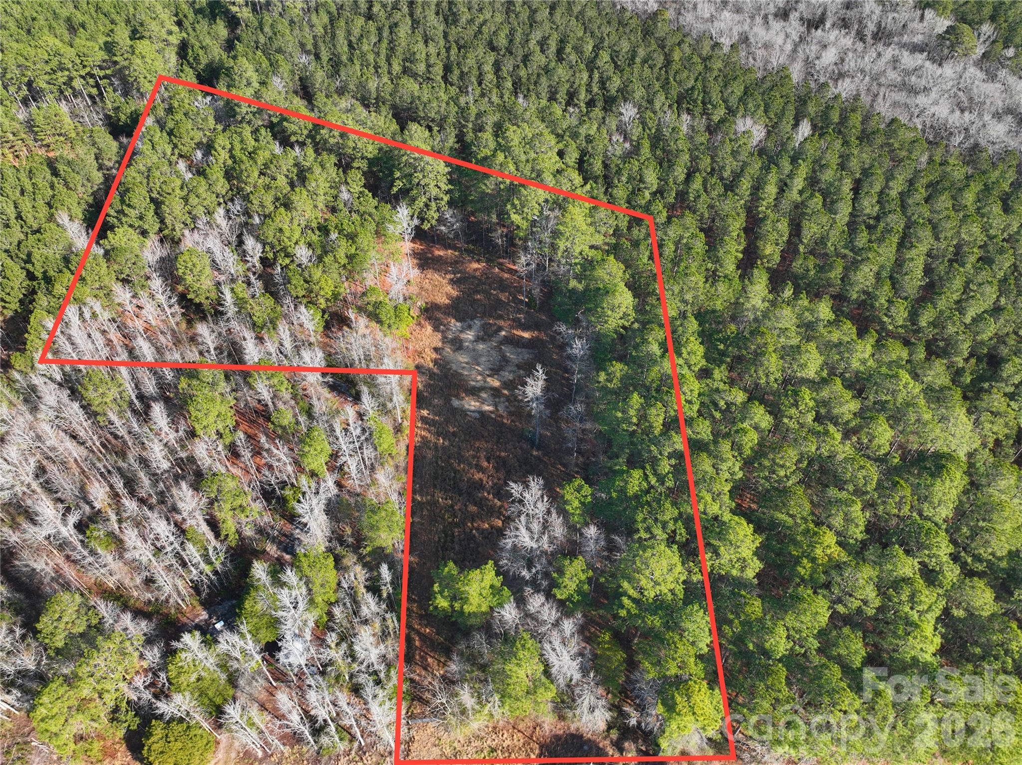 0 Mattocks Road Maysville, NC 28555 - Photo 16 of 25 a picture of a tree