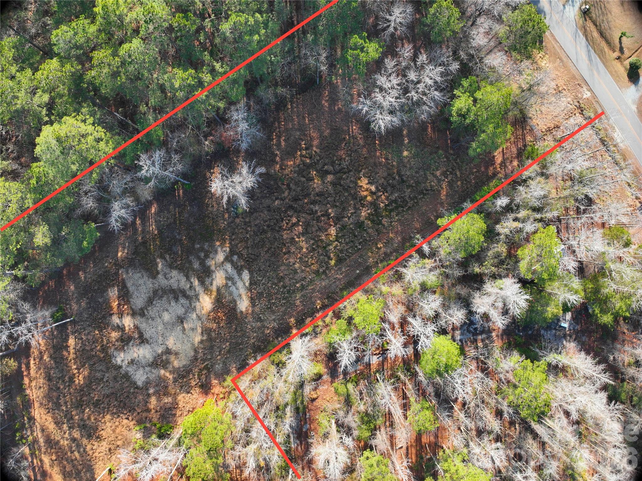 0 Mattocks Road Maysville, NC 28555 - Photo 20 of 25 a city view with tall trees