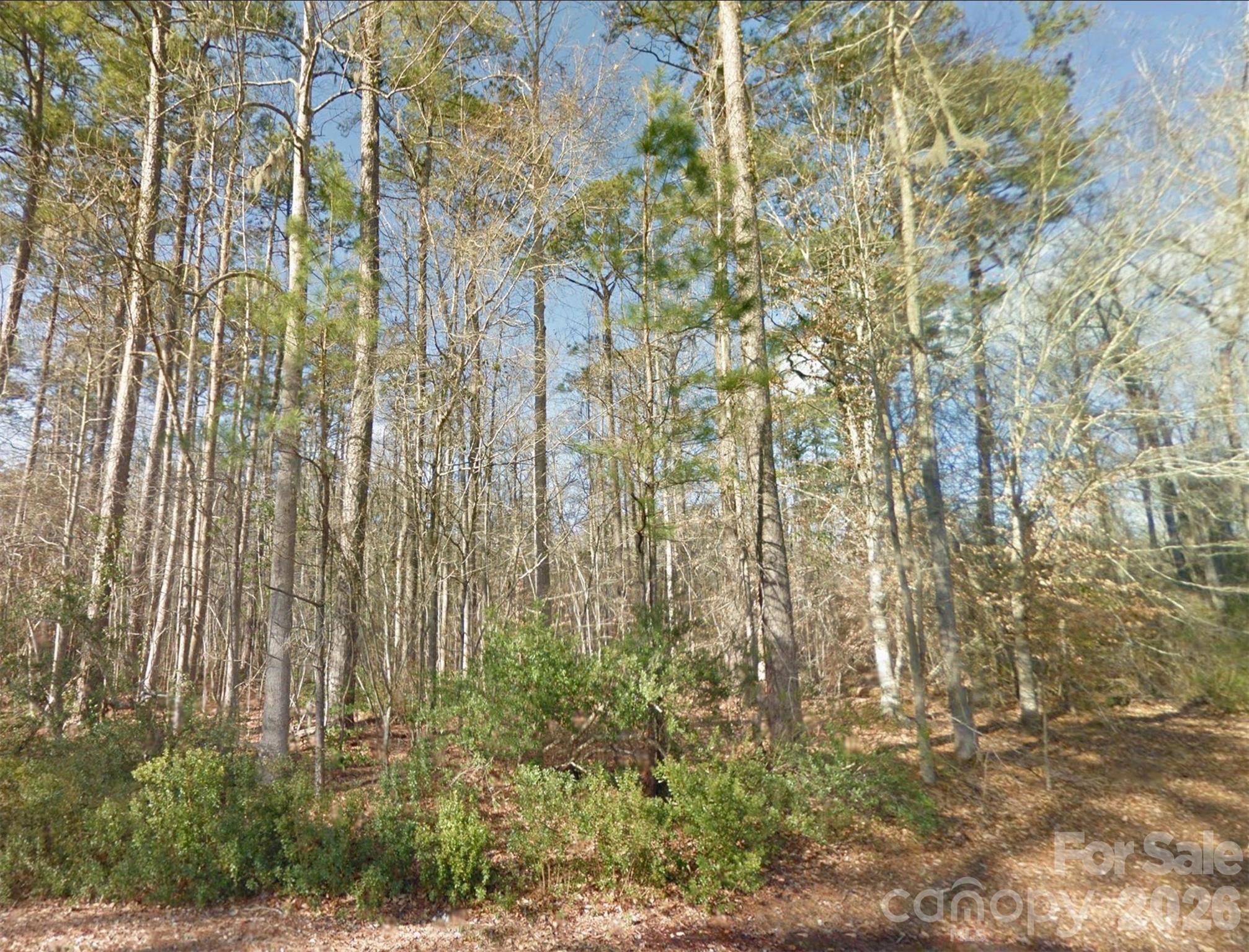 0 Mattocks Road Maysville, NC 28555 - Photo 4 of 25 a view of a yard with plants and brick wall