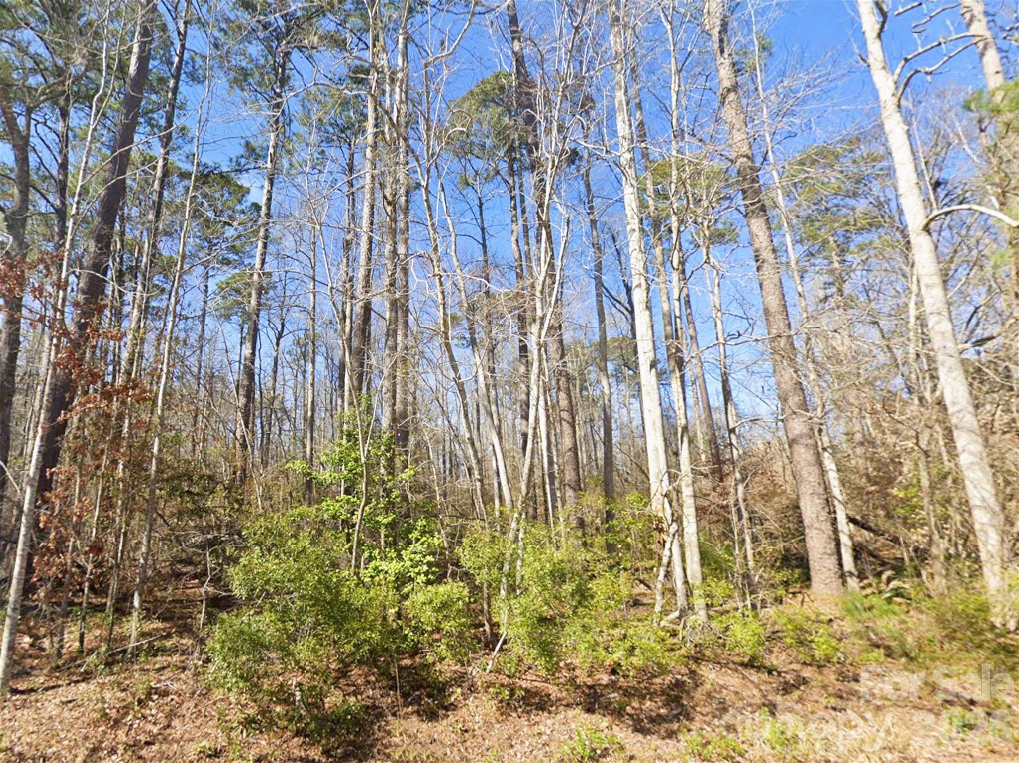 0 Mattocks Road Maysville, NC 28555 - Photo 6 of 25