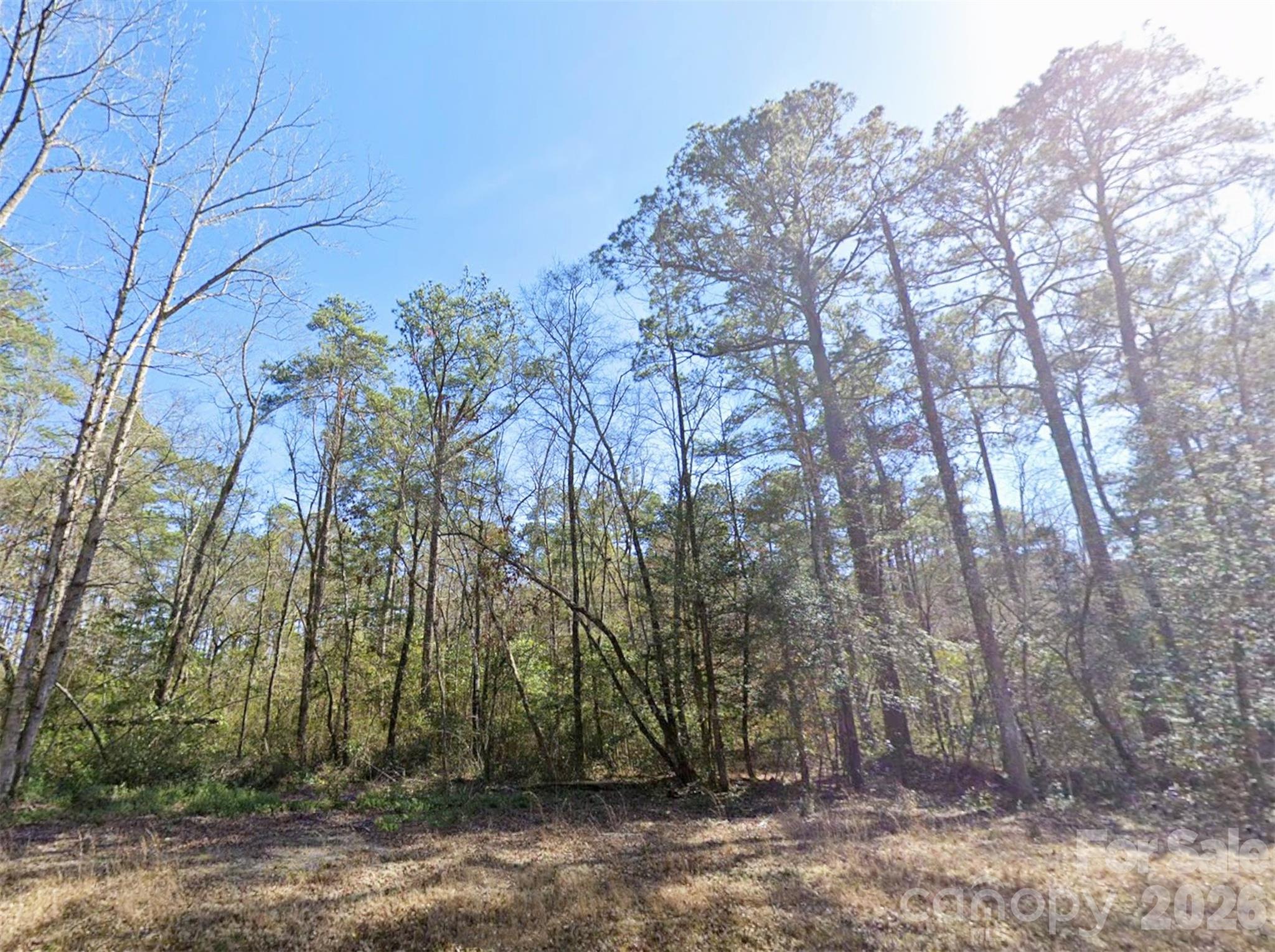 0 Mattocks Road Maysville, NC 28555 - Photo 7 of 25 a backyard of a house with lots of green space