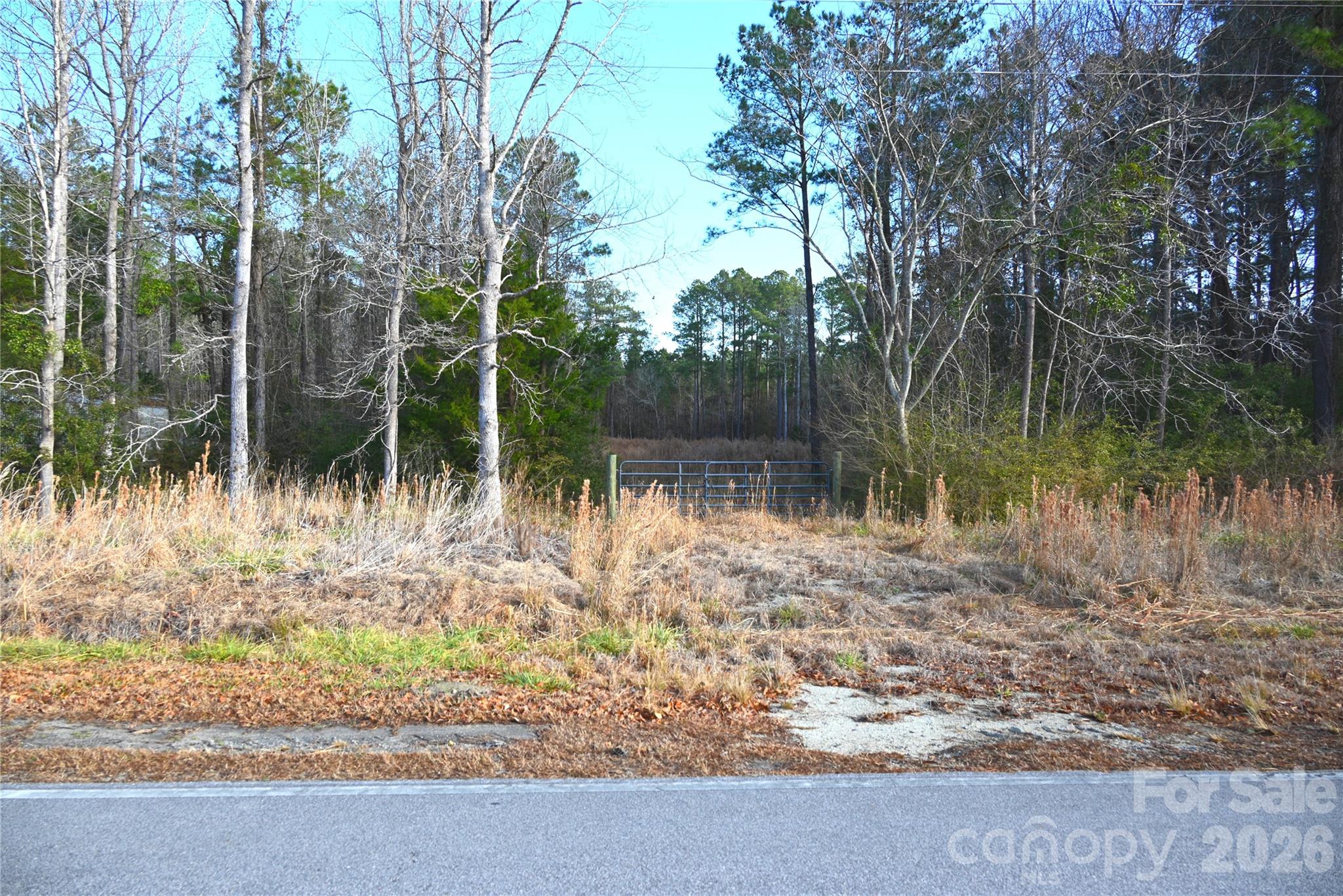 0 Mattocks Road Maysville, NC 28555 - Photo 8 of 25 a backyard of a house with lots of green space and garden