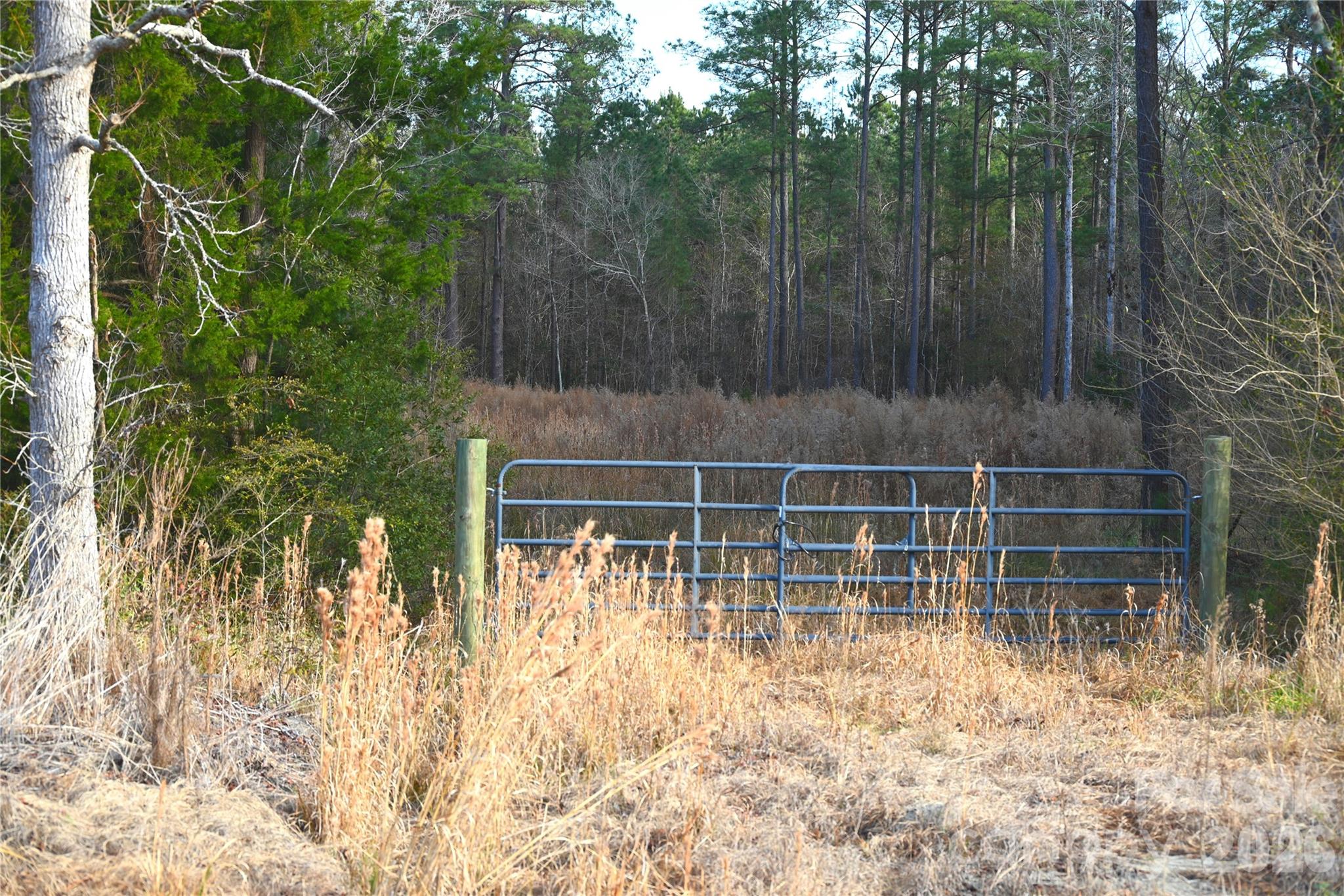 0 Mattocks Road Maysville, NC 28555 - Photo 9 of 25 a view of a yard