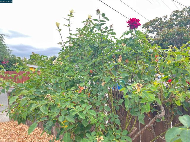 $789,000 | 1665 Center Road, Novato, CA 94947