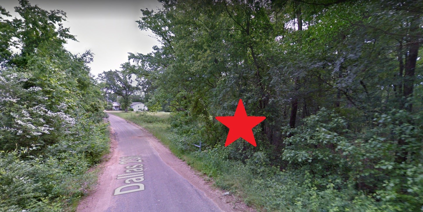 0 Dallas 236 Other, AR 71763 - Photo 3 of 3 a view of a back yard of the house