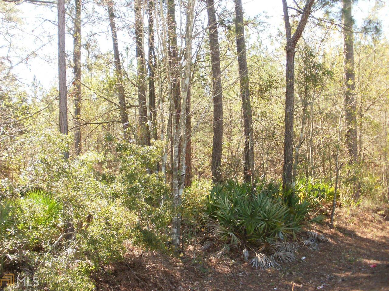 0 Old River Road Blackshear, GA 31557 - Photo 1 of 1 Gallery Image 1