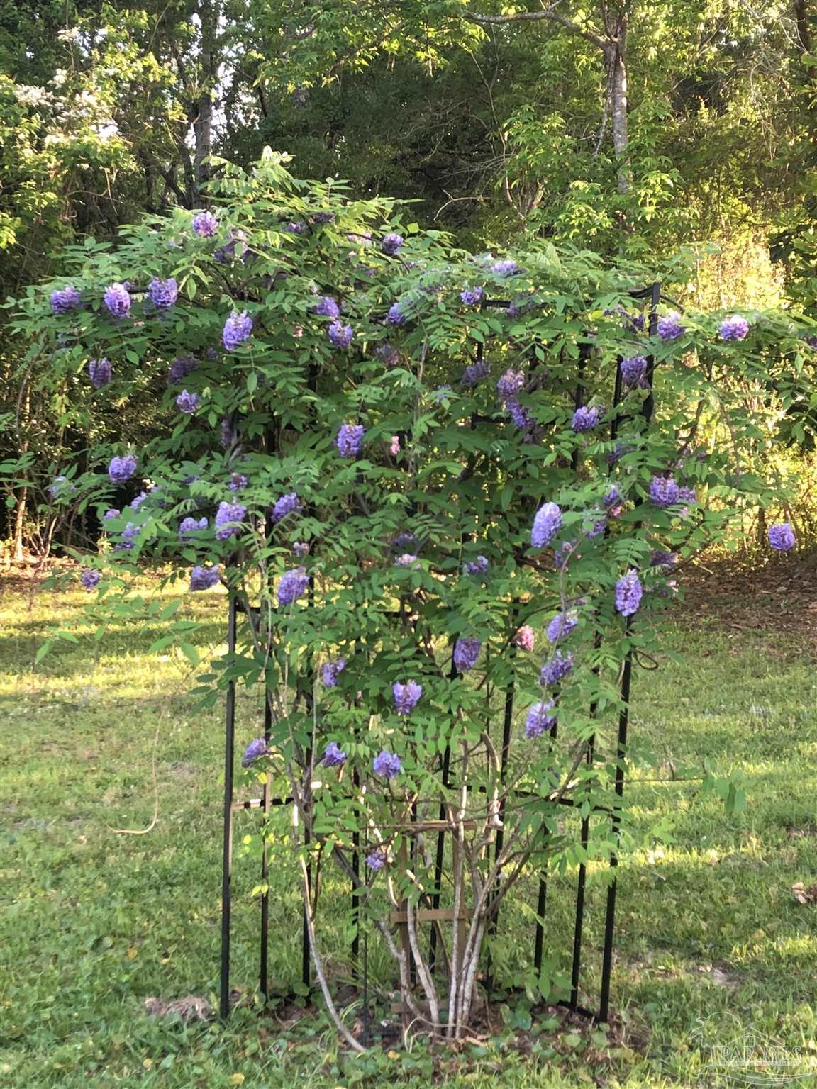 551 Earl Gene Road Cantonment, FL 32533 - Photo 23 of 24 Gallery Image 23