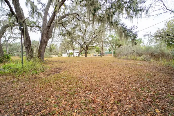 a view of a yard with trees