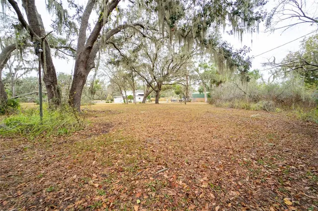 a view of a yard with trees