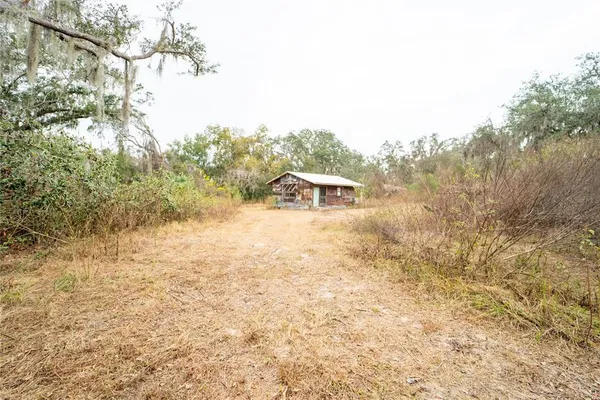 a house with trees in the background